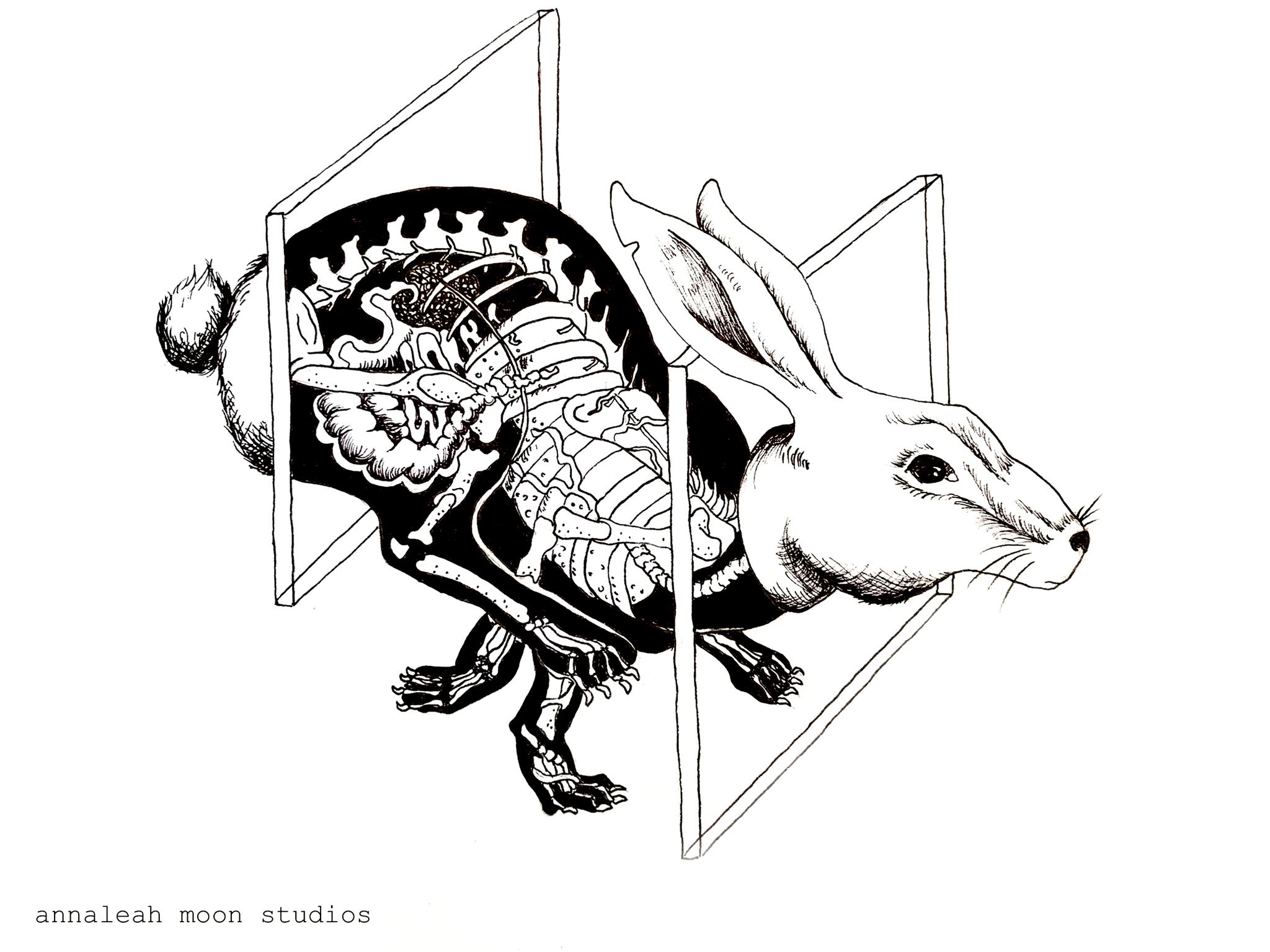 Through the Looking Glass Tshirt Design Apparel (rabbit)-2.jpg