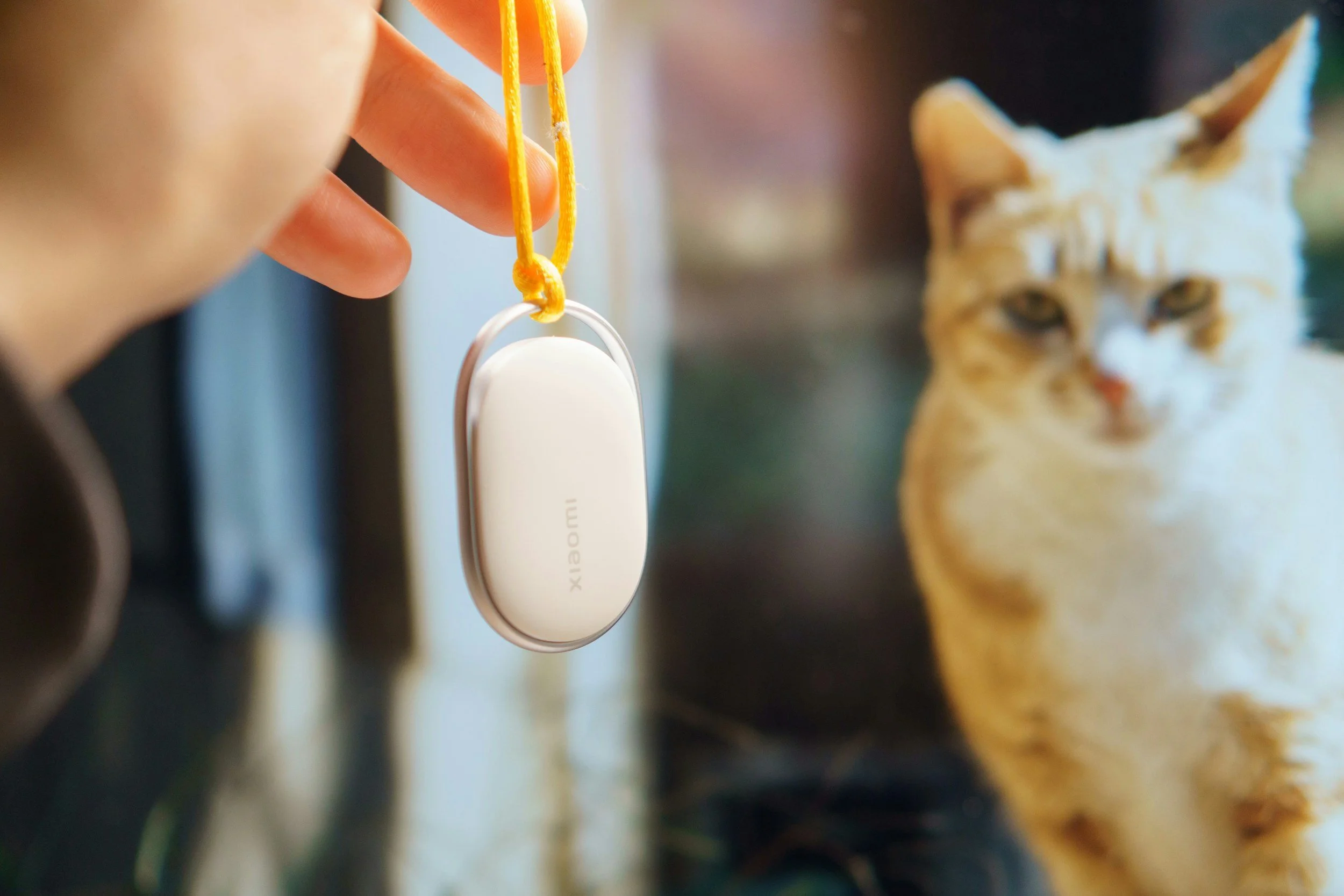 Panopticon on a Leash