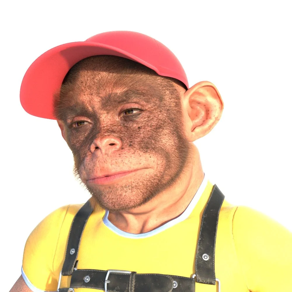 Bongo