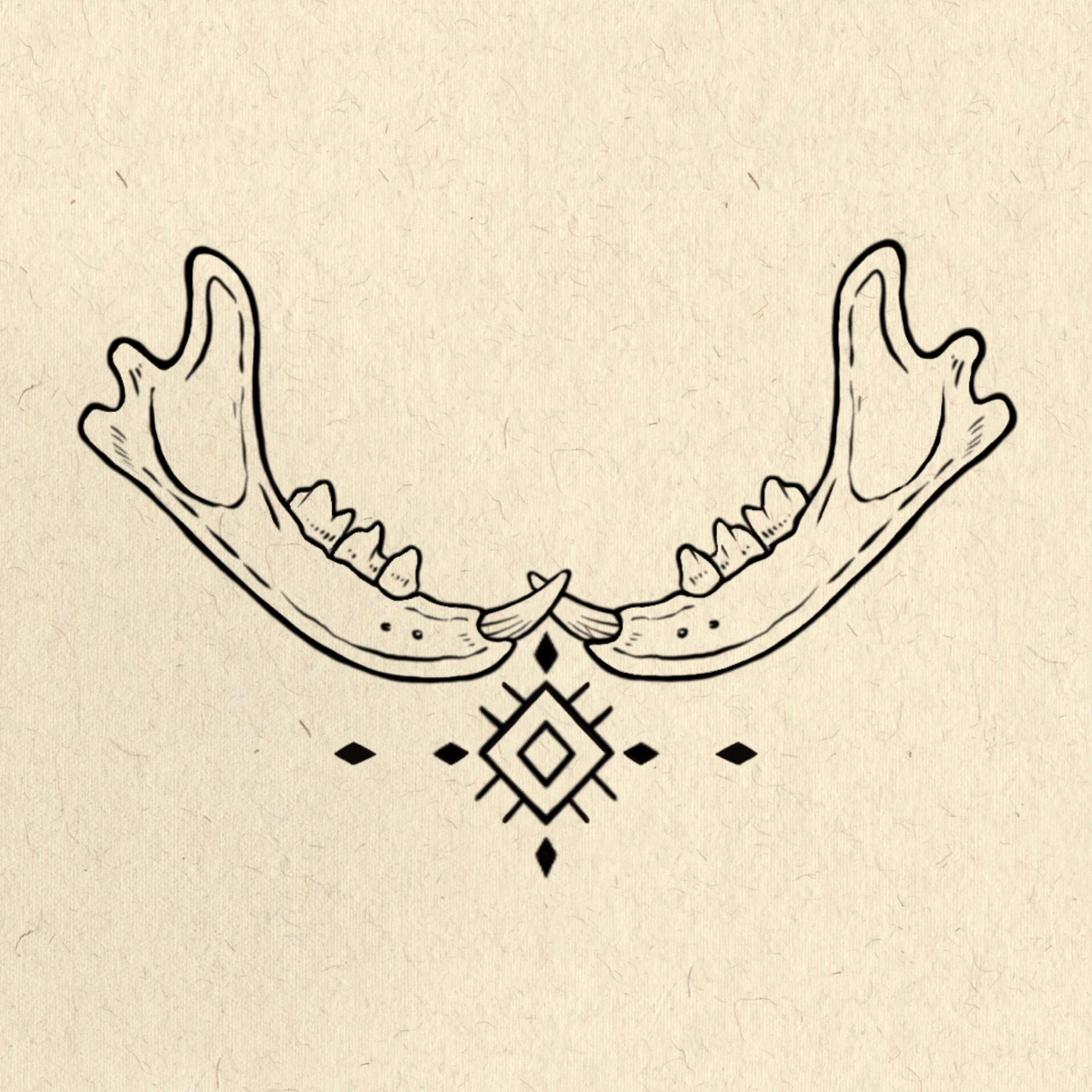 Cat jawbone talisman 