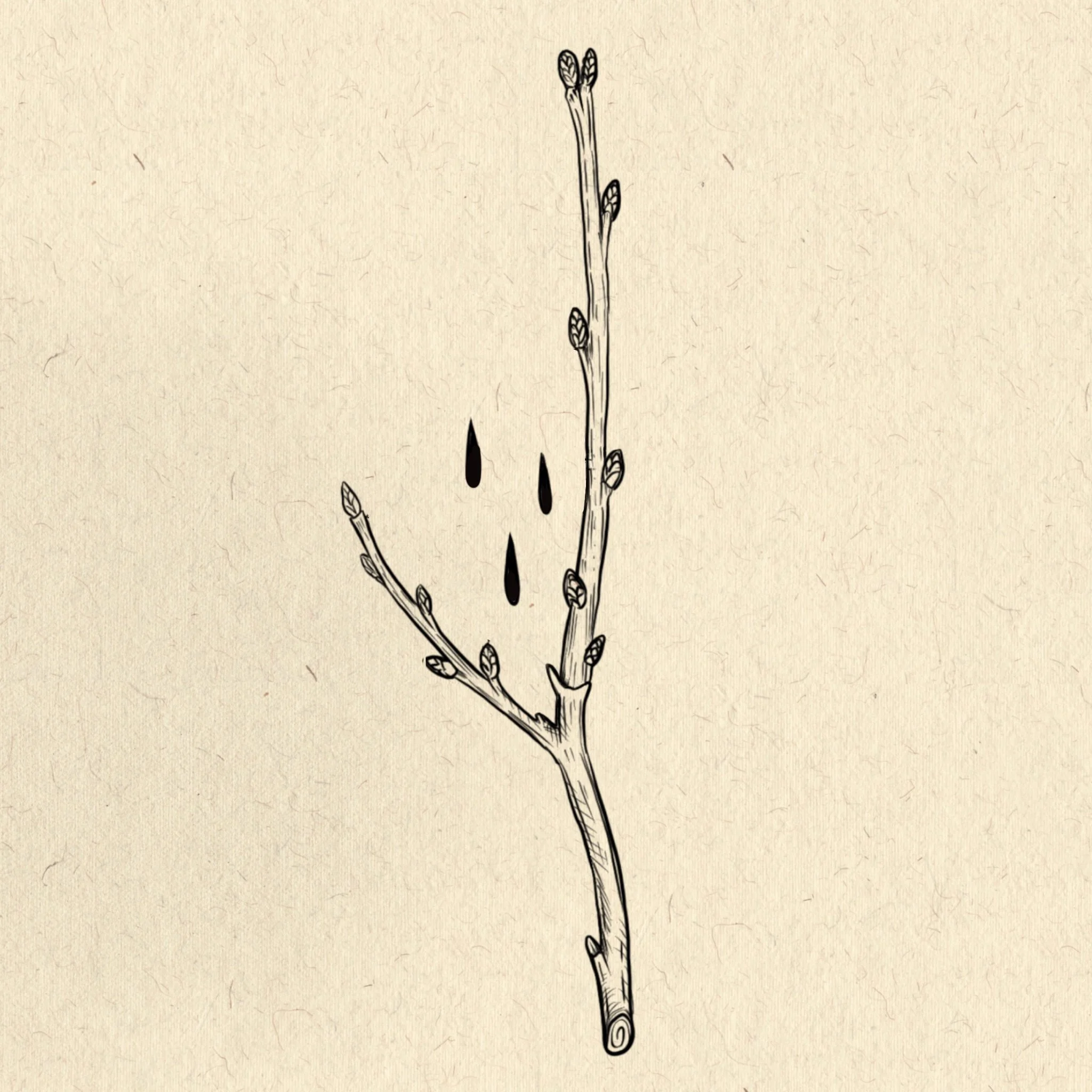Plum Branch