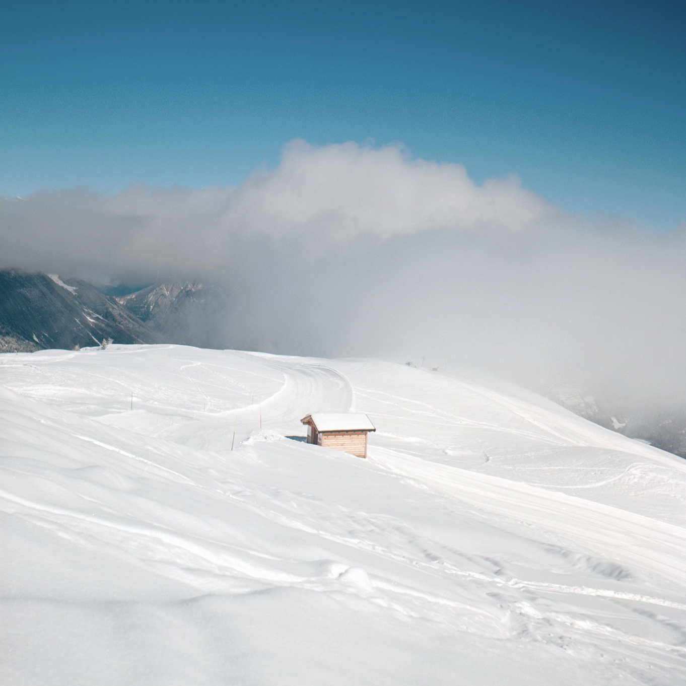 Screenshot 2026-03-11 at 11.03.39.png