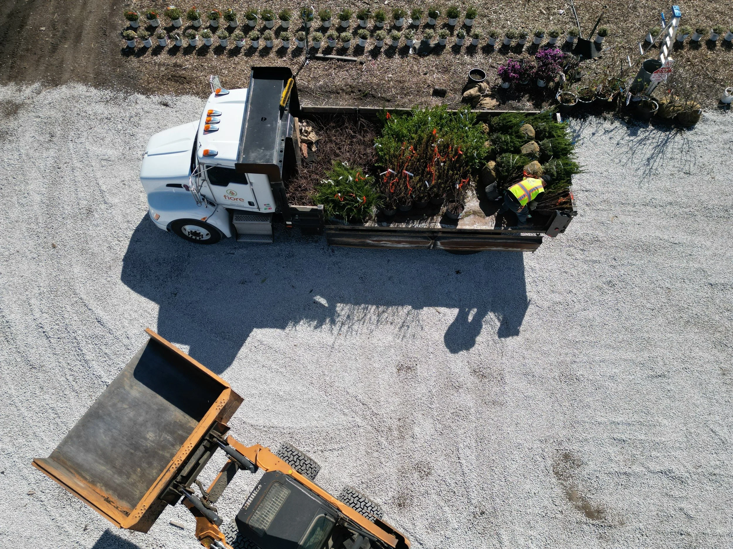 What a Rewholesale Nursery Actually Does for Contractors