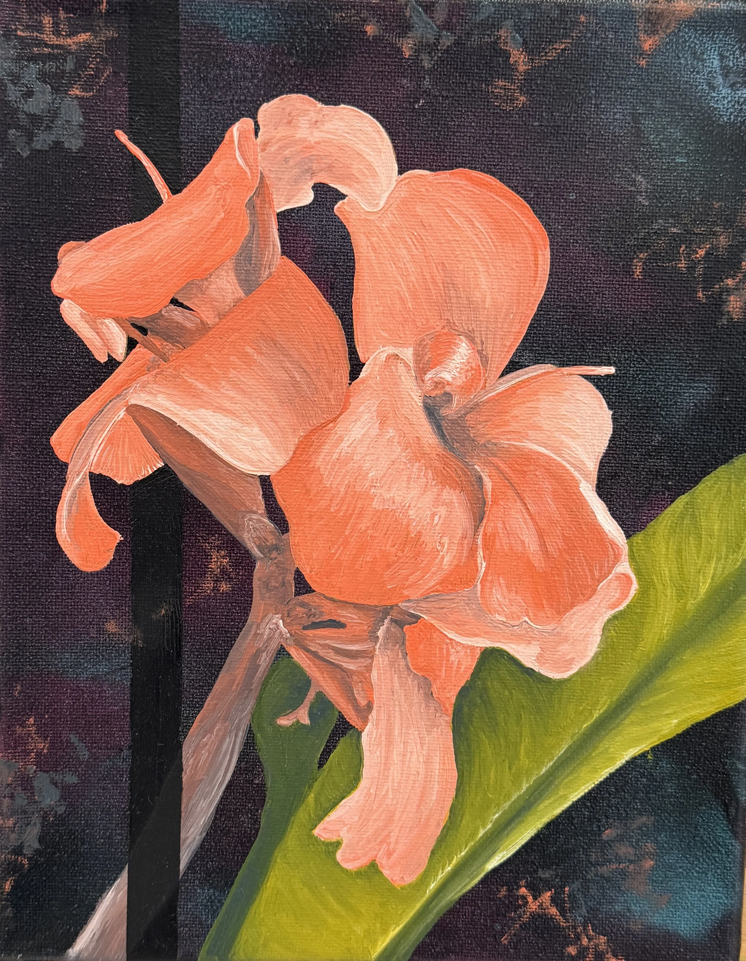 Canna. Oil on canvas. 2026 9x12"