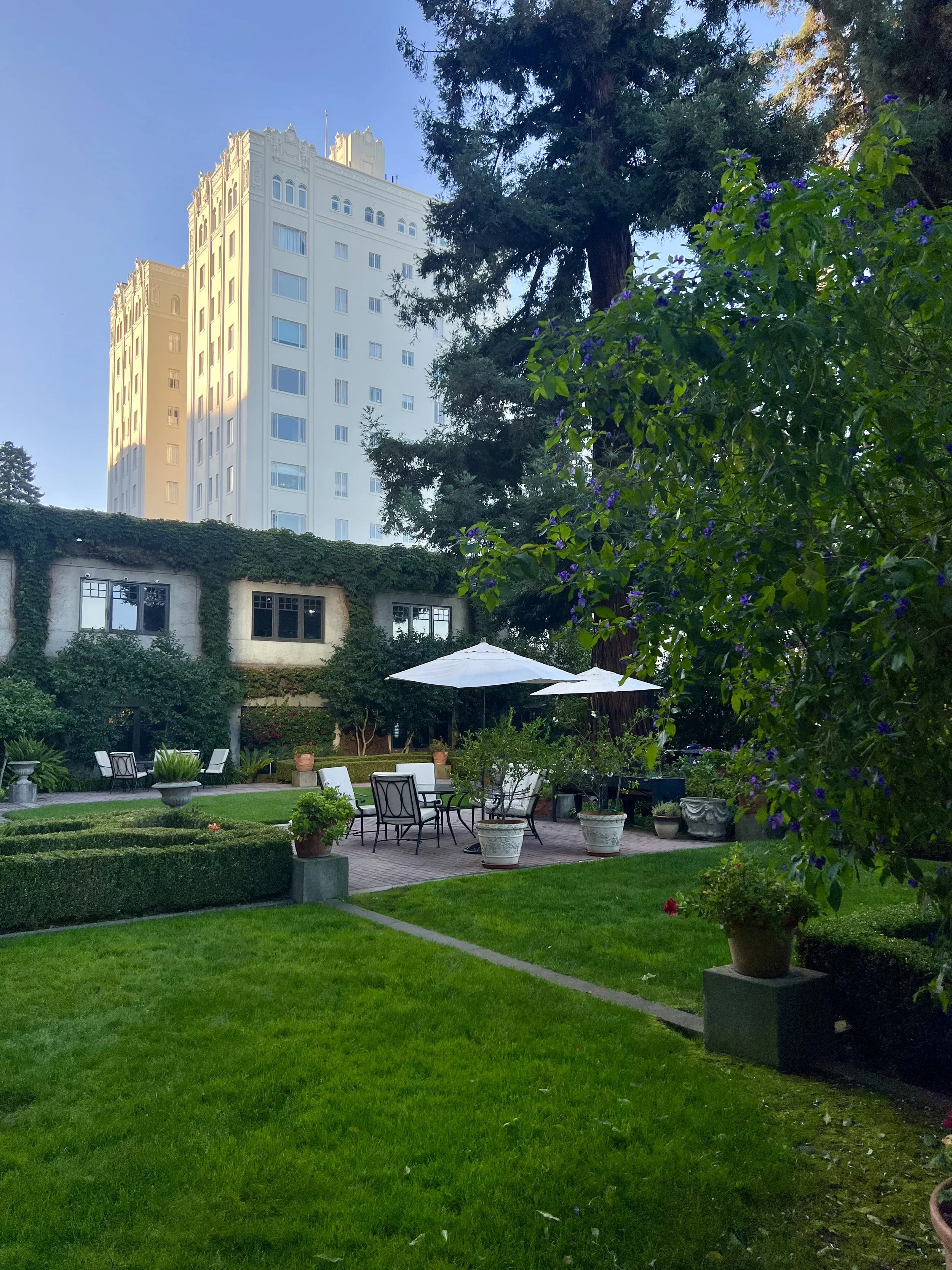 Silent Reading Party in a Garden