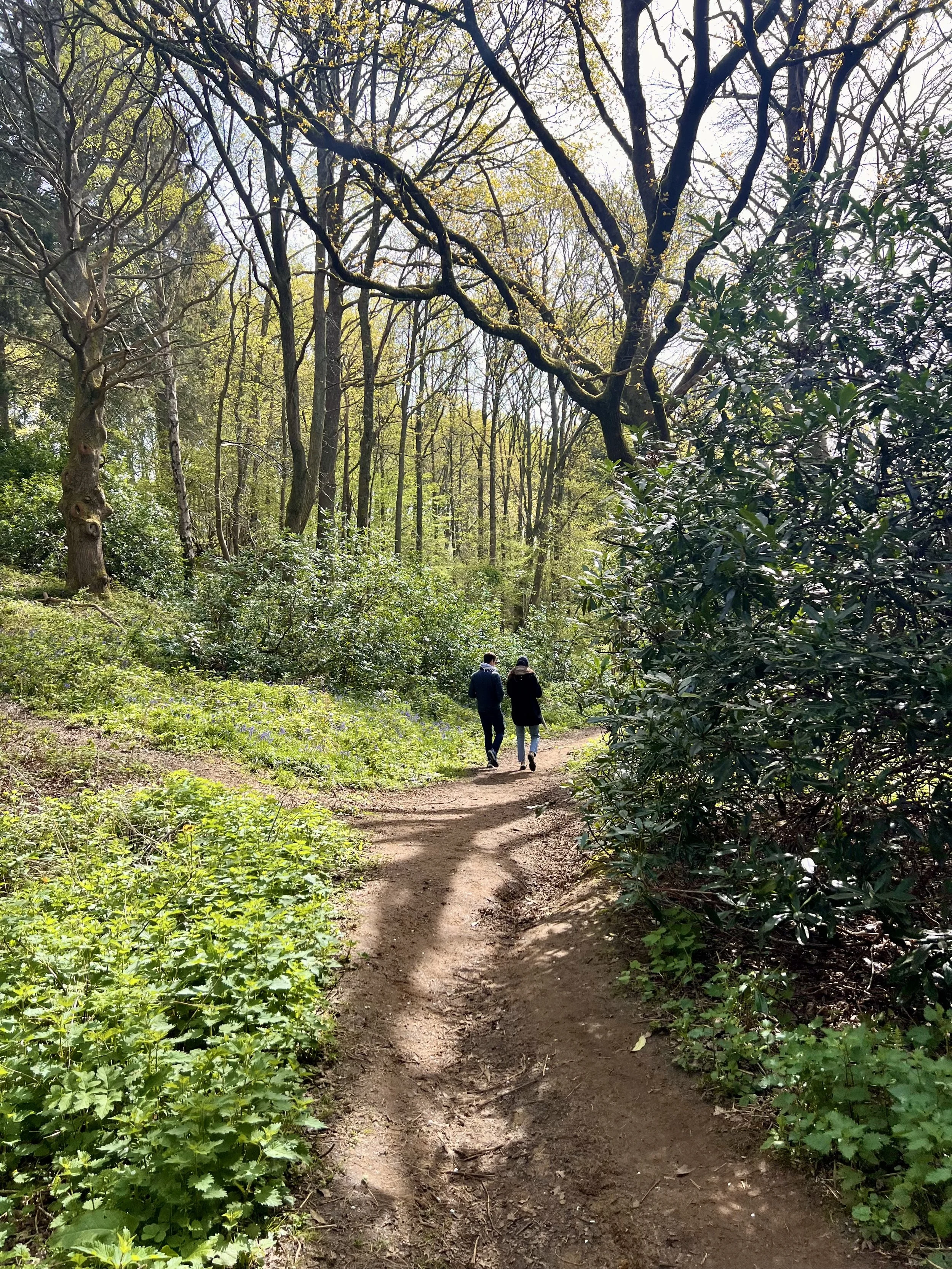 Walk + Talk Alignment Session
