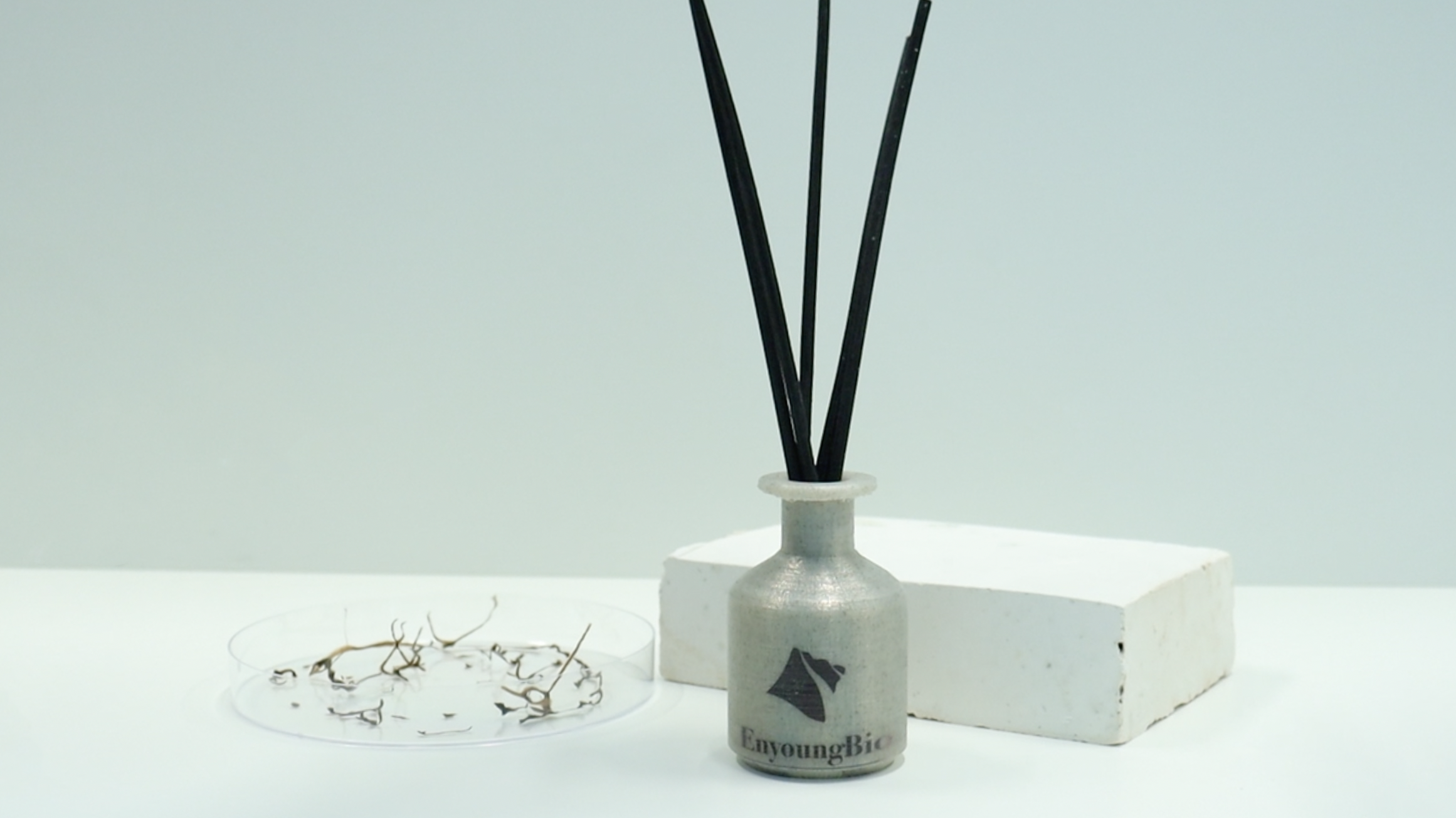 截屏2023-05-28 下午3.57.14.png