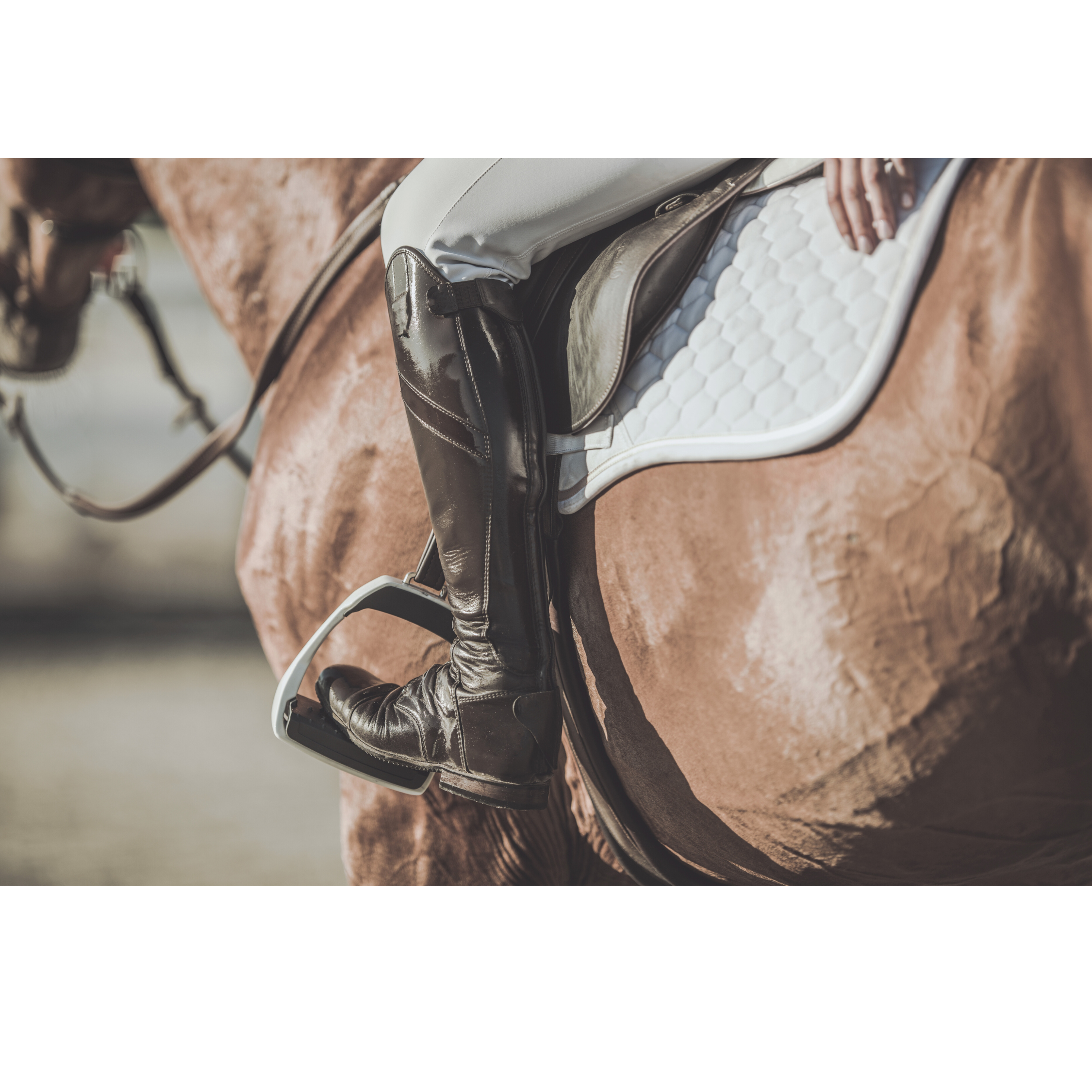 How Anxiety Affects Learning &amp; Performance in Riders