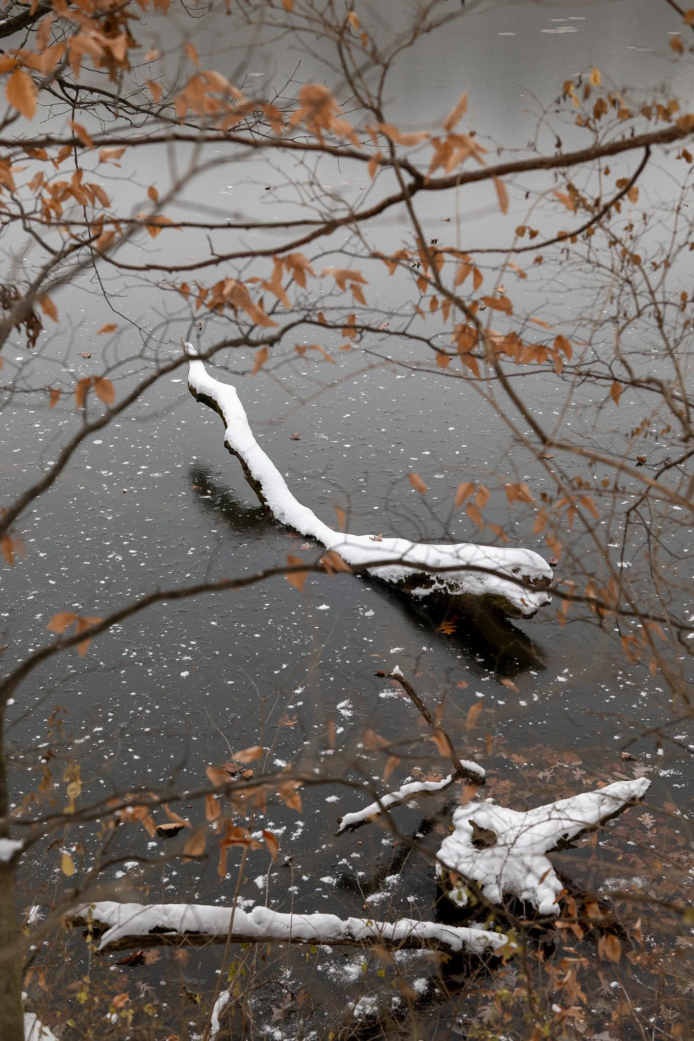Taken with the Sigma 50mm f2 Contemporary i-Series - Frozen Lake and snow