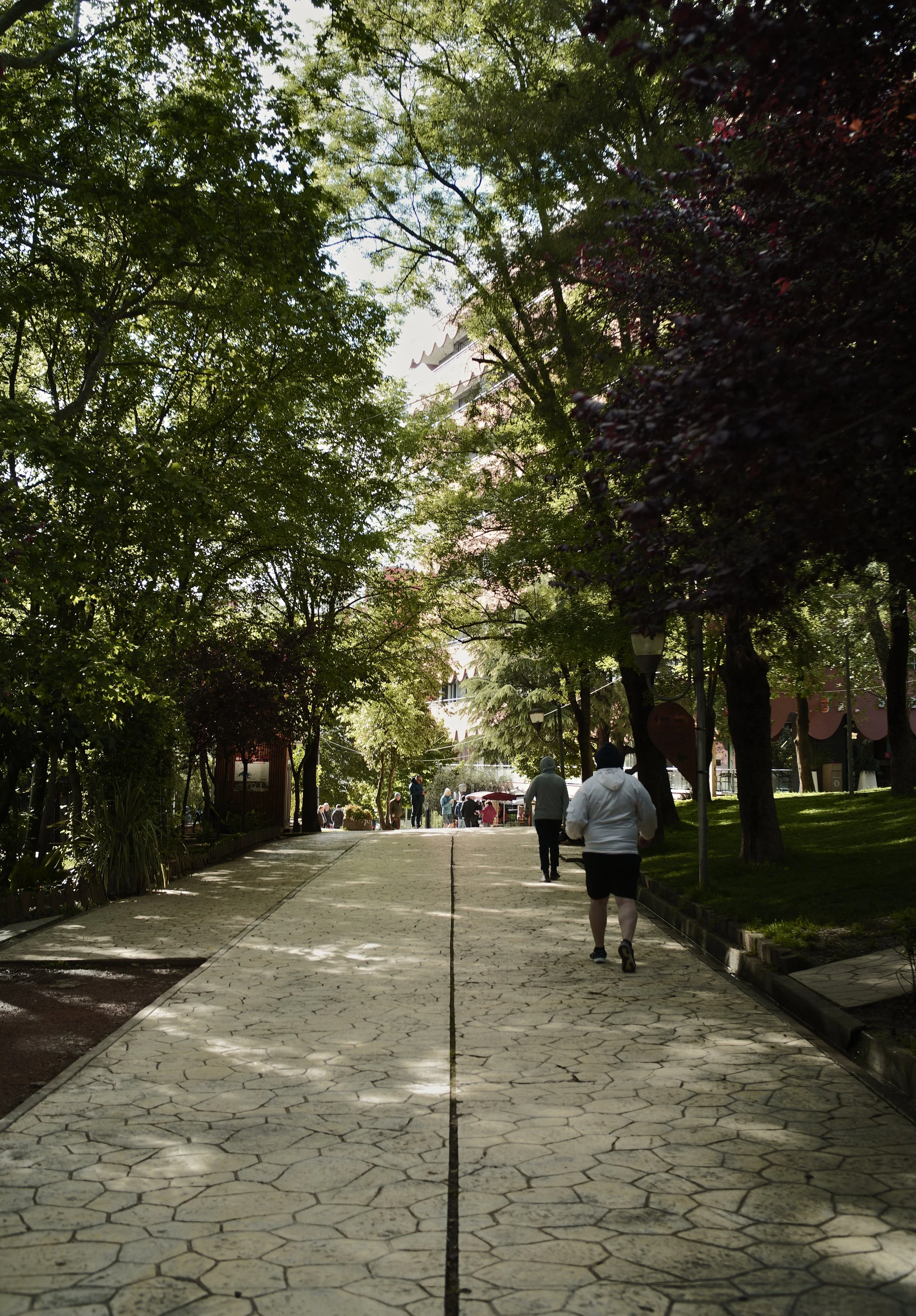 Retro Cinema Film - Film Simulation Recipe for the Sigma FP and FP L