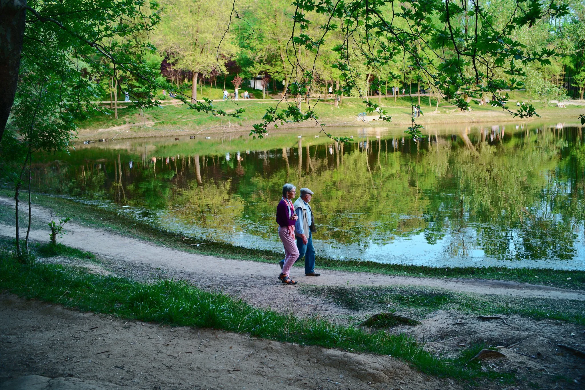 Azure Natural Film - Sigma FP Film Recipe