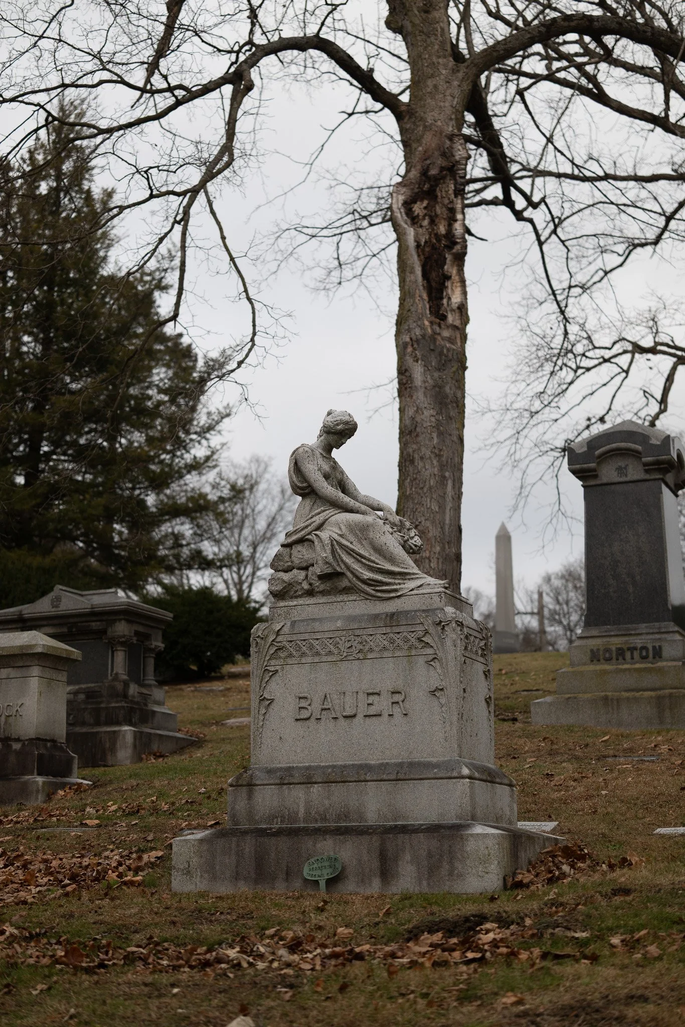 Cemetery Bokeh Test - Taken with the Sigma 50mm f2 Contemporary i-Series