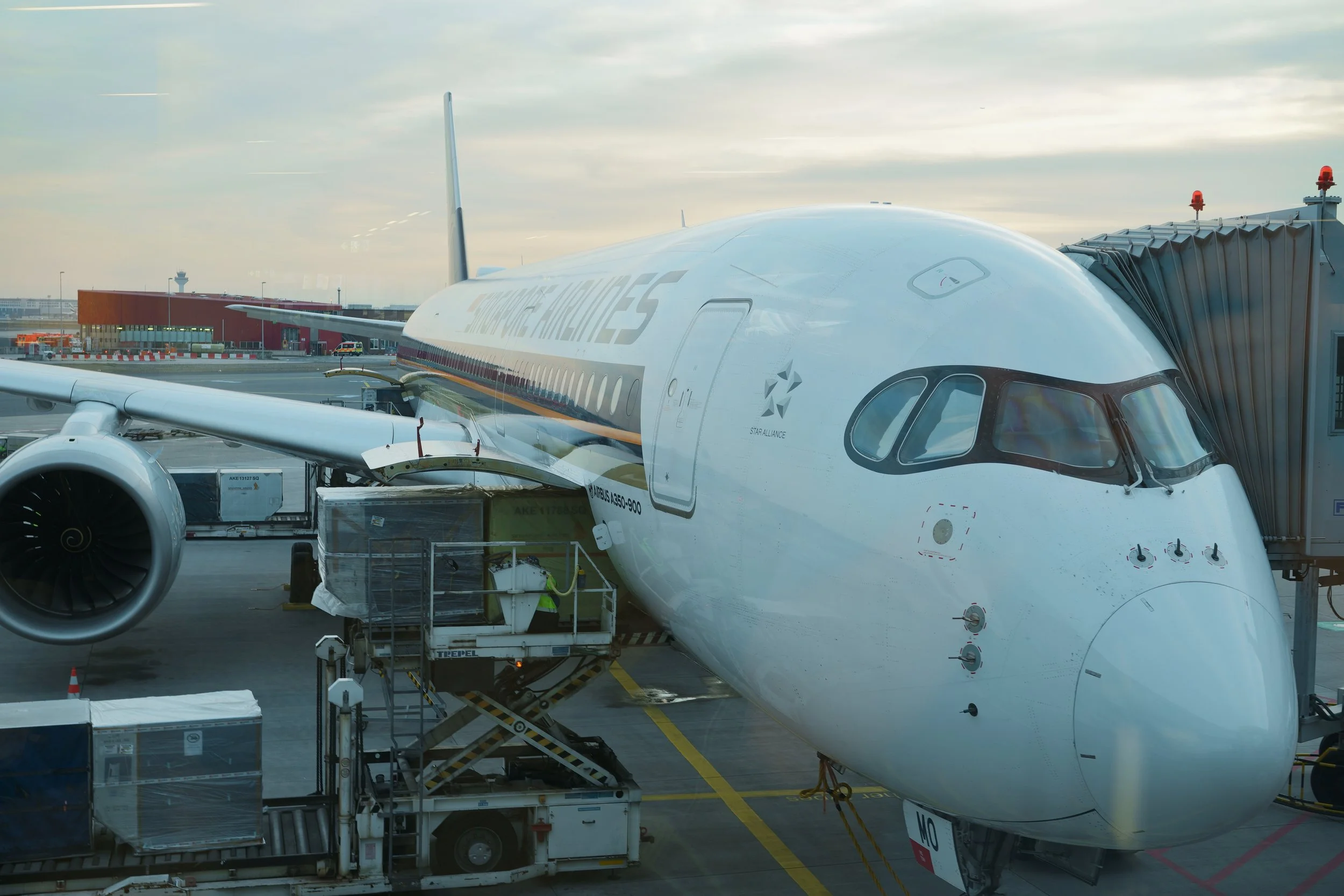 Air Singapore - Sigma FP with "Something Blue" Film Simulation