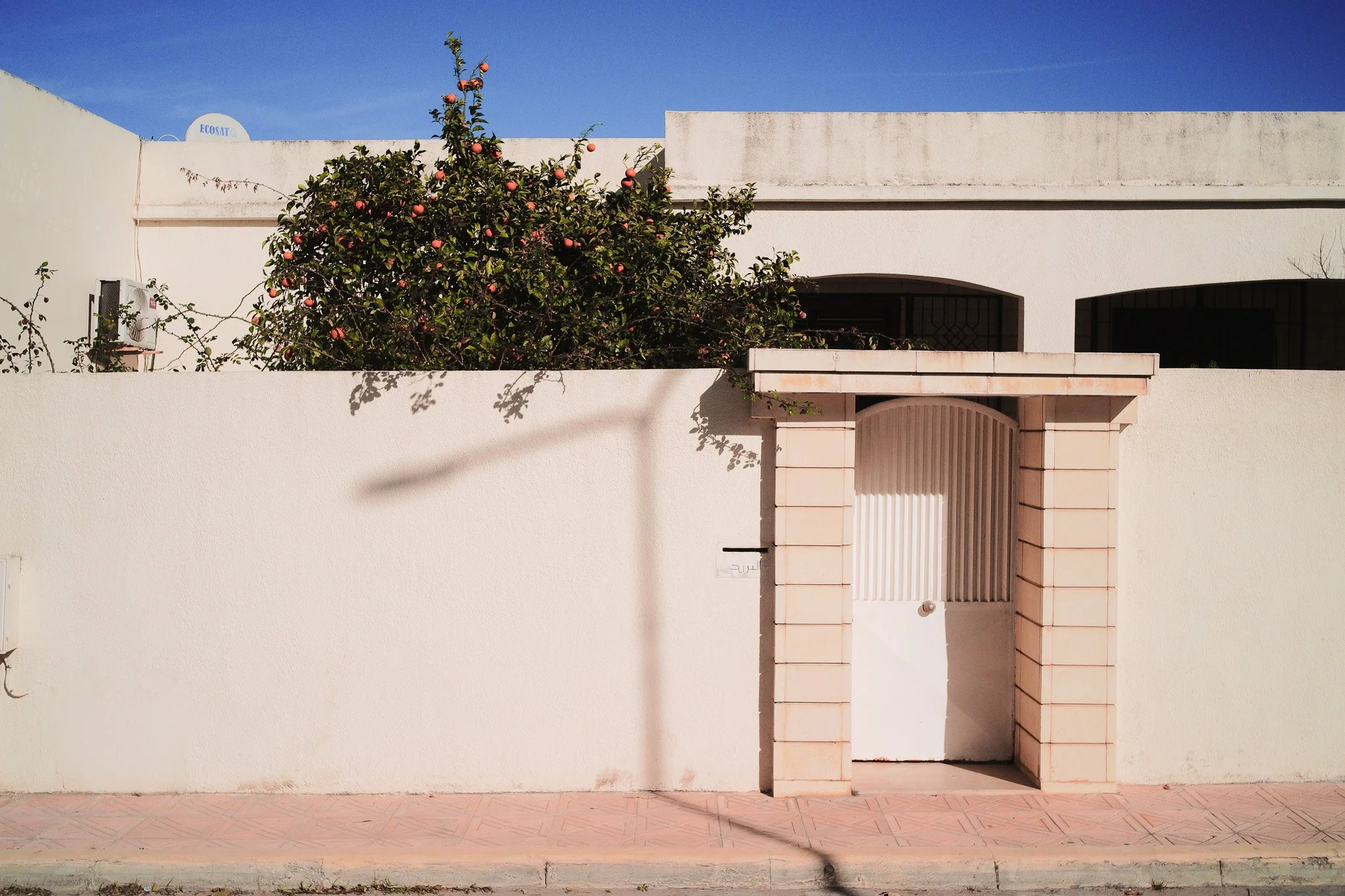 Orange tree and beige wall - Sigma Film Simulation - Vivid +2 for the Sigma FP and FPL