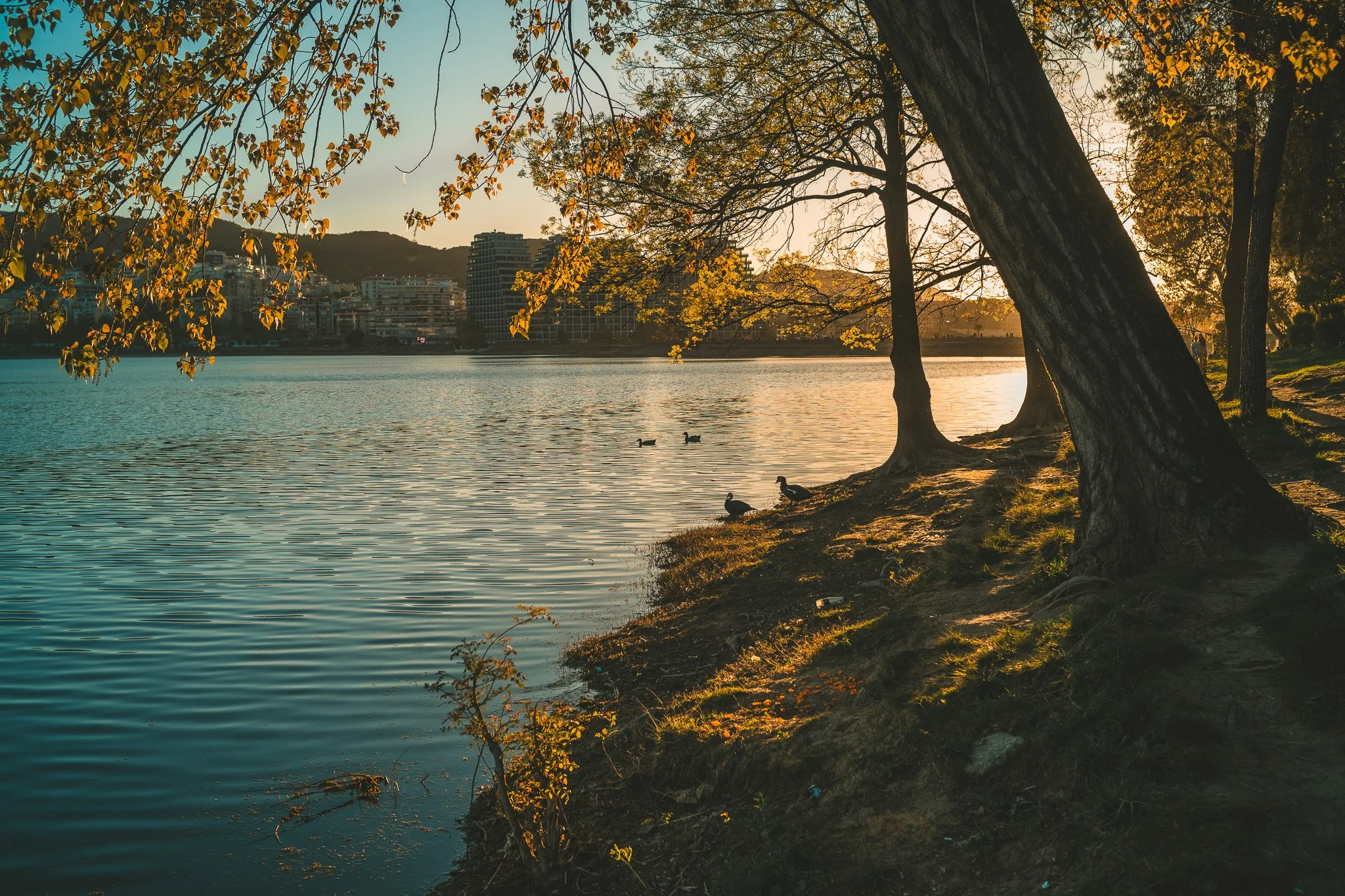 Ektar Ultra Film Simulation - Lightroom Preset