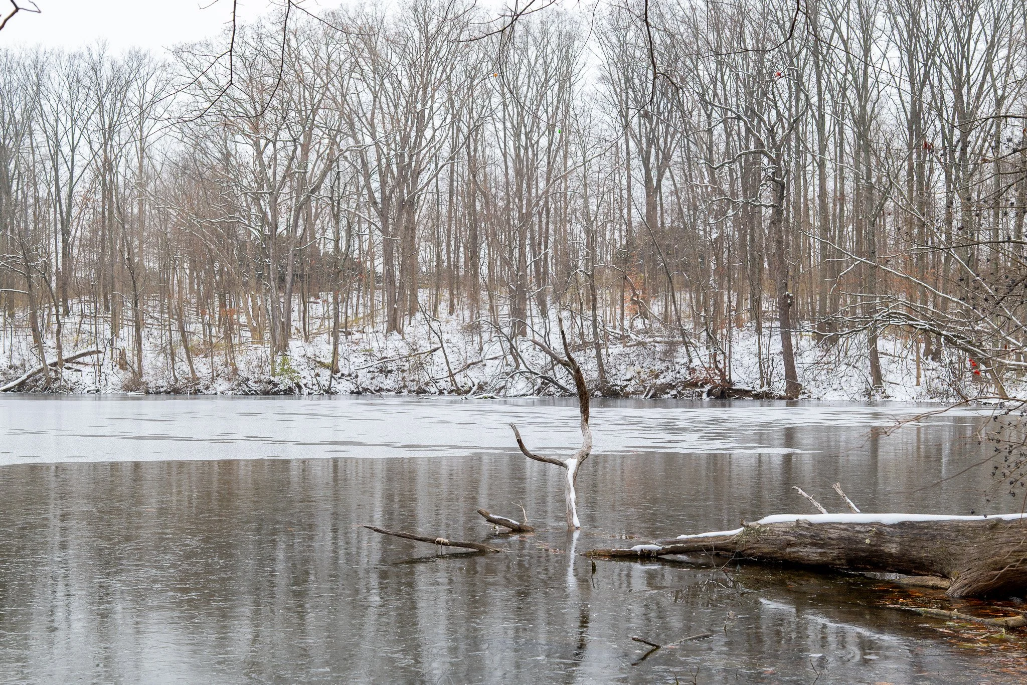 Ice and snow on the lake - Taken with the Sigma 50mm f2 Contemporary i-Series