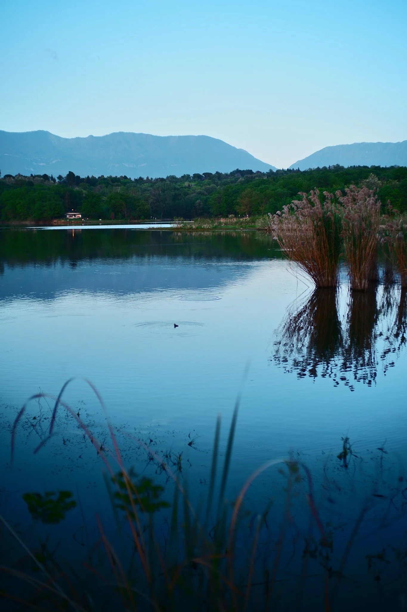 Azure Natural Film - Sigma FP Film Recipe