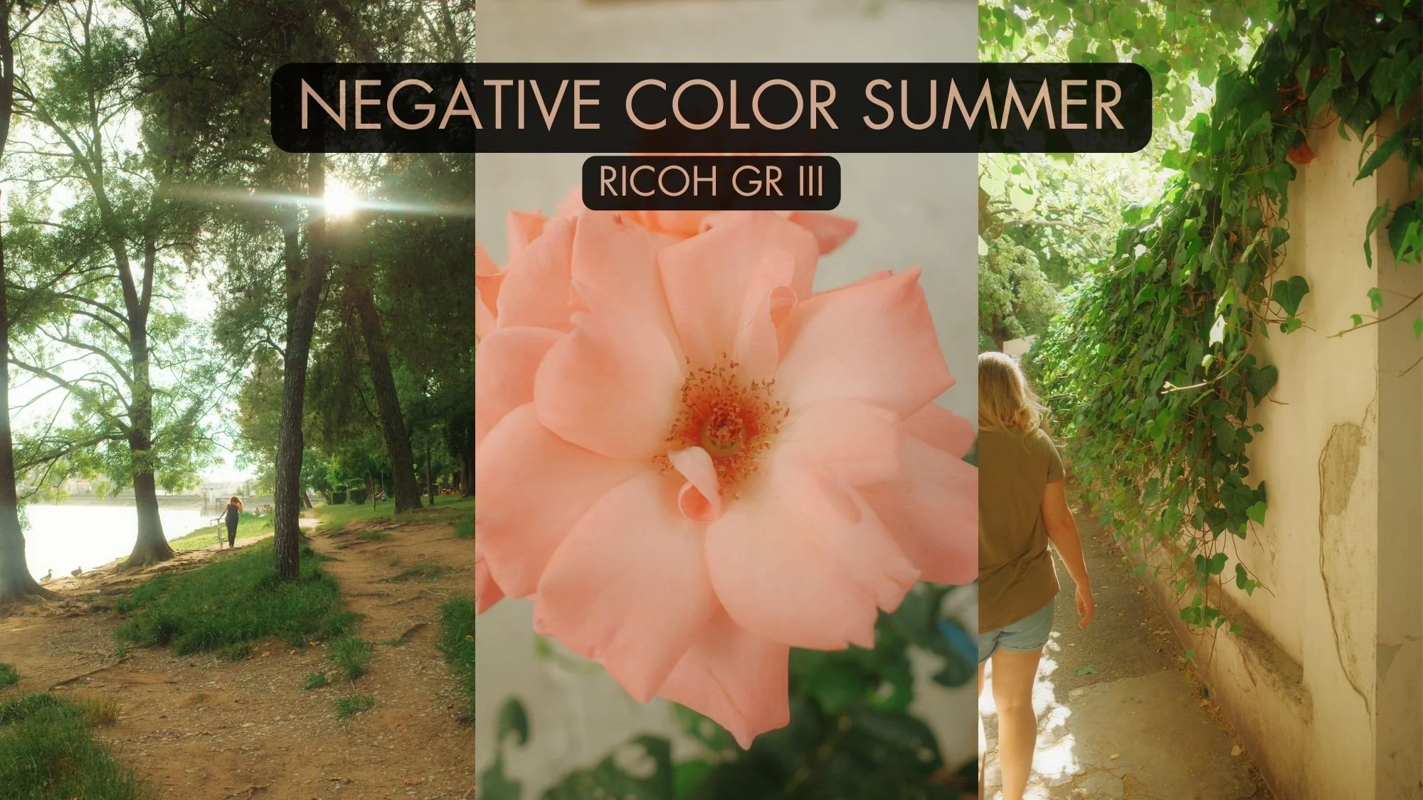 Negative Color Summer - Film Recipe for Ricoh GR III and GR IIIx