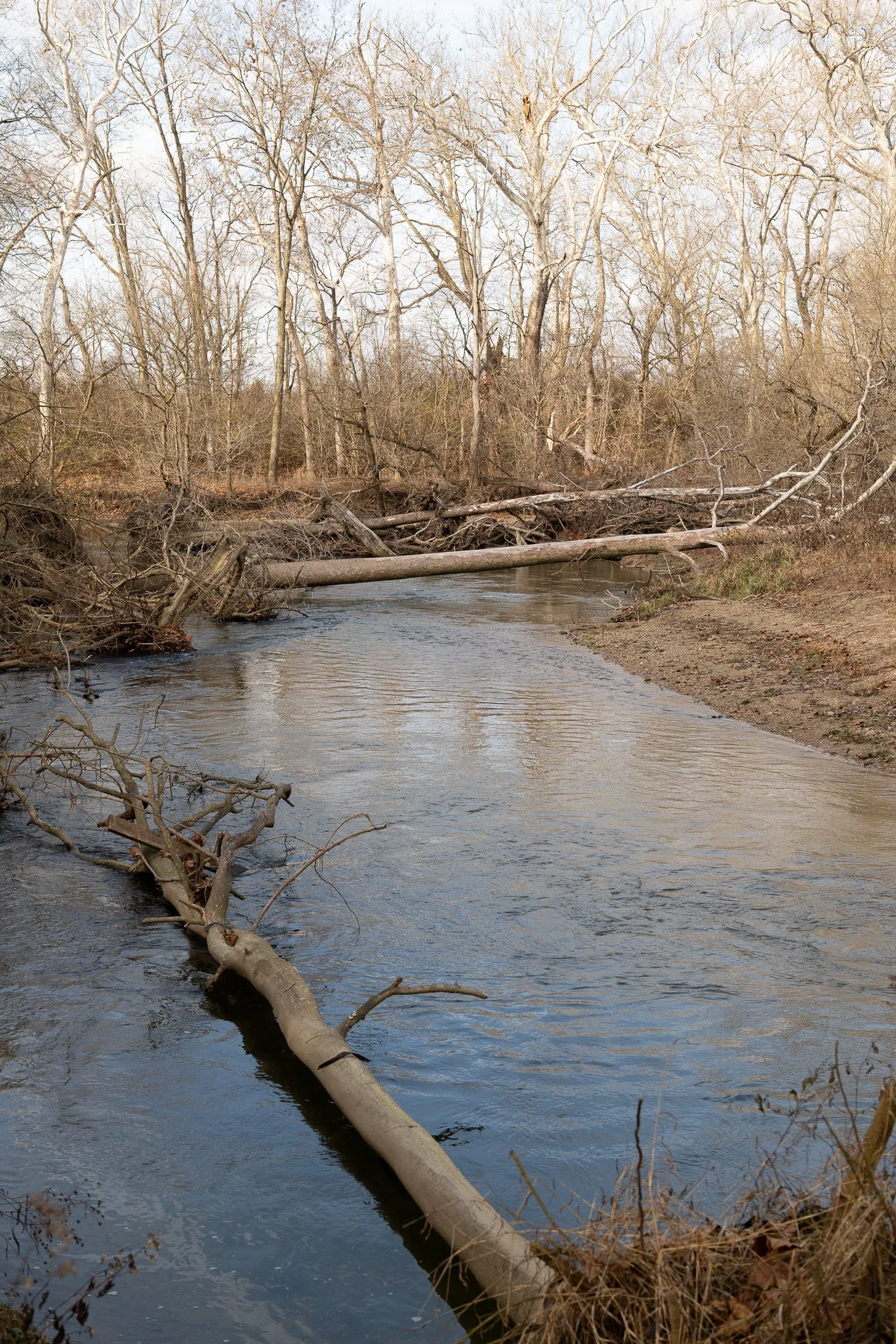 Small Creek - Taken with the Sigma 50mm f2 Contemporary i-Series