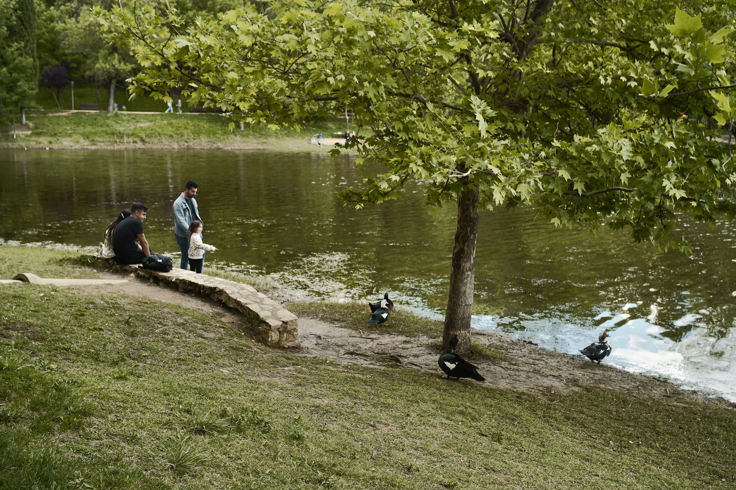 Retro Cinema Film - Film Simulation Recipe for the Sigma FP and FP L