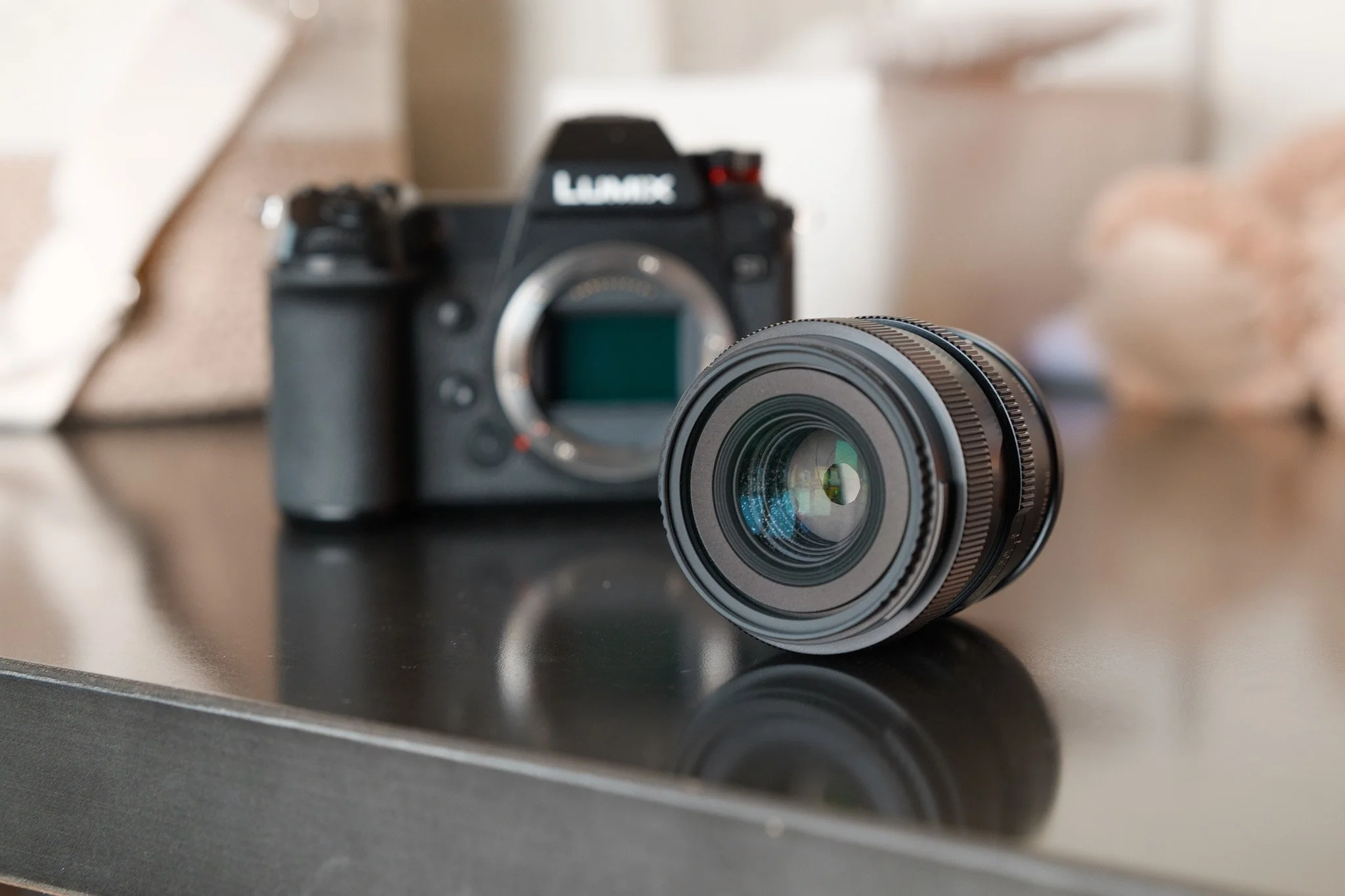 Sigma 50mm f2 DG DN Contemporary Front Element