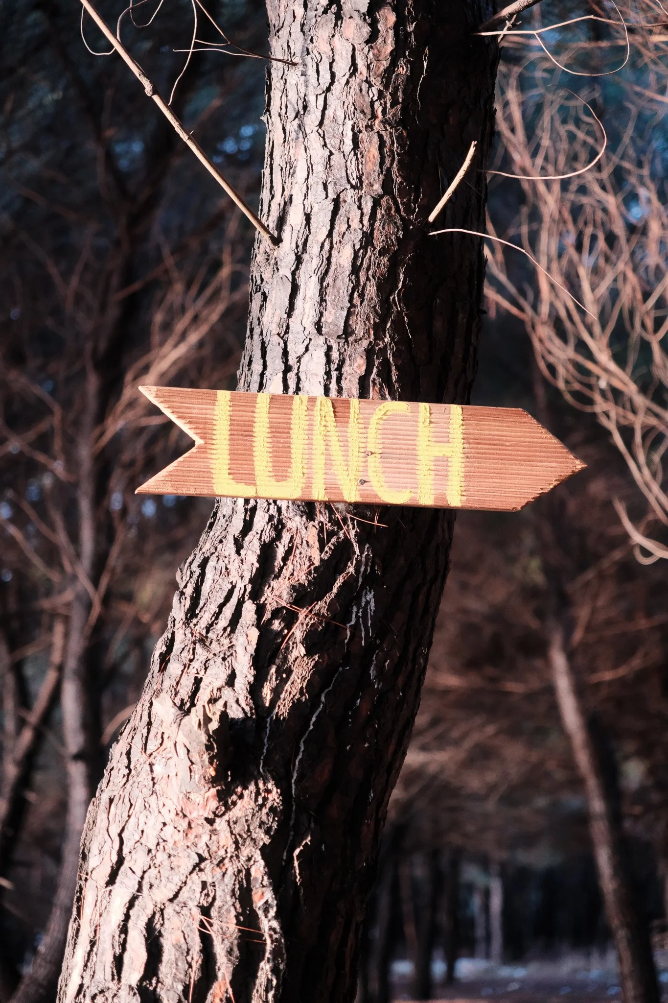 Sign for Lunch - Red Classic Chrome - Film Simulation for Fujifilm