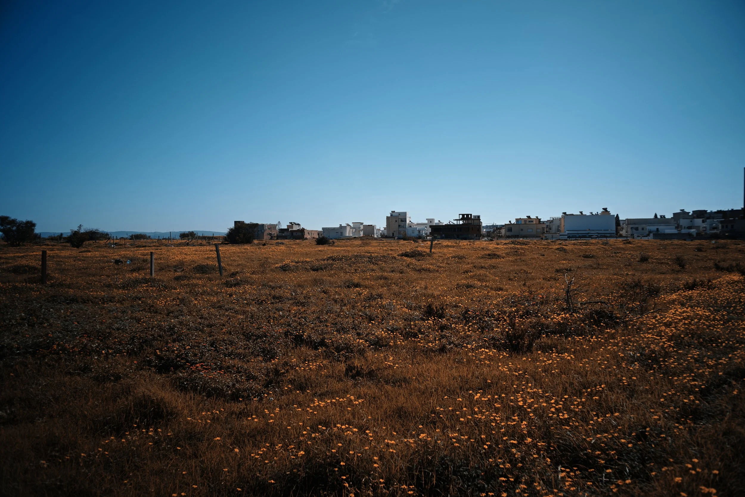 Moody Orange and Teal - Sigma FP Film Simulation