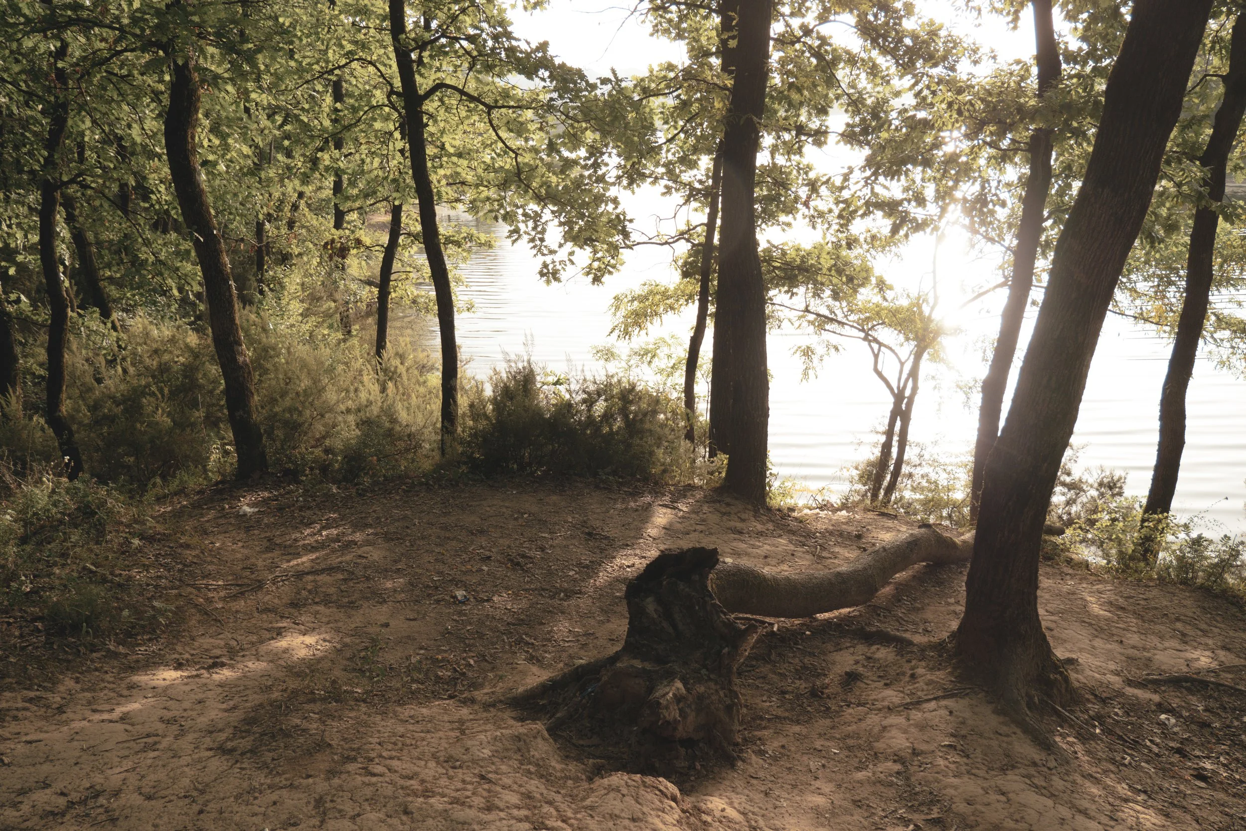 Americana Provia - Free Lightroom Preset