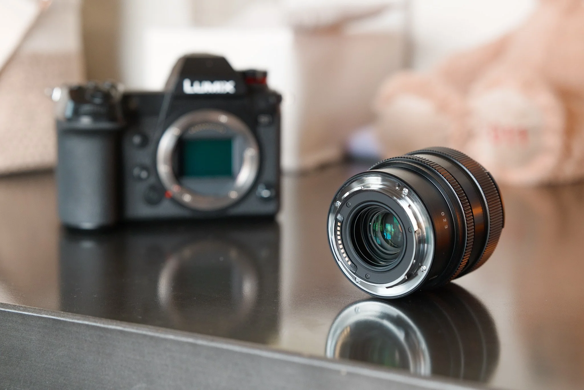 Sigma 50mm f2 DG DN Contemporary Back and Lens Mount