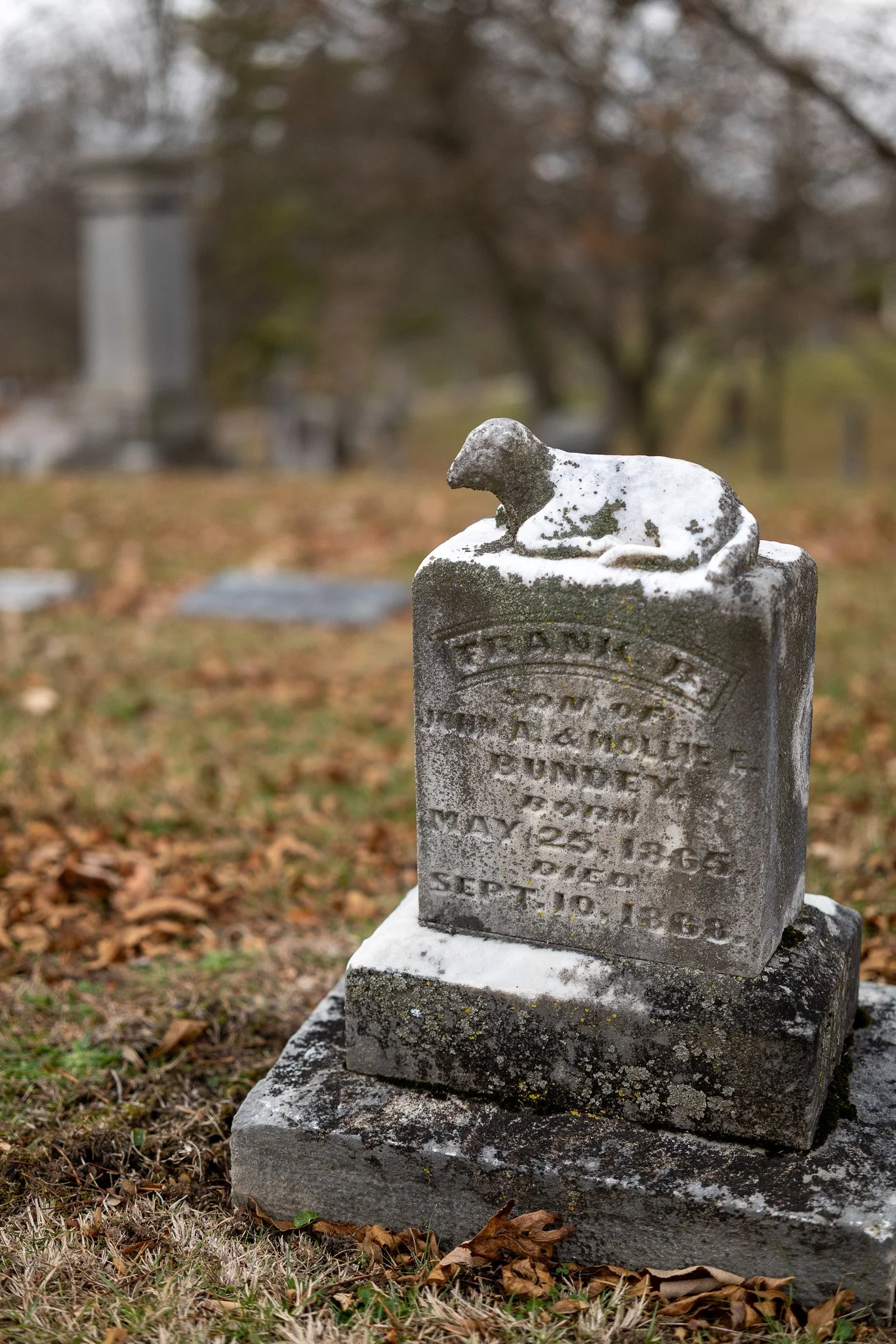 Gravestone Bokeh Test - Taken with the Sigma 50mm f2 Contemporary i-Series