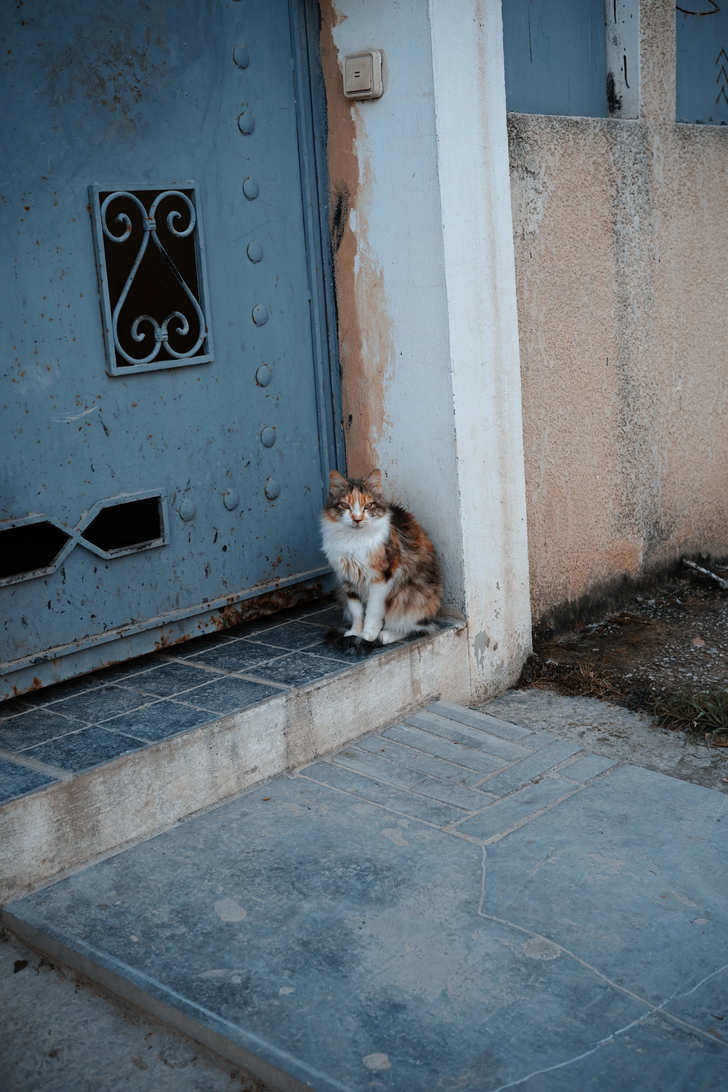 Moody Orange and Teal - Sigma FP Film Simulation