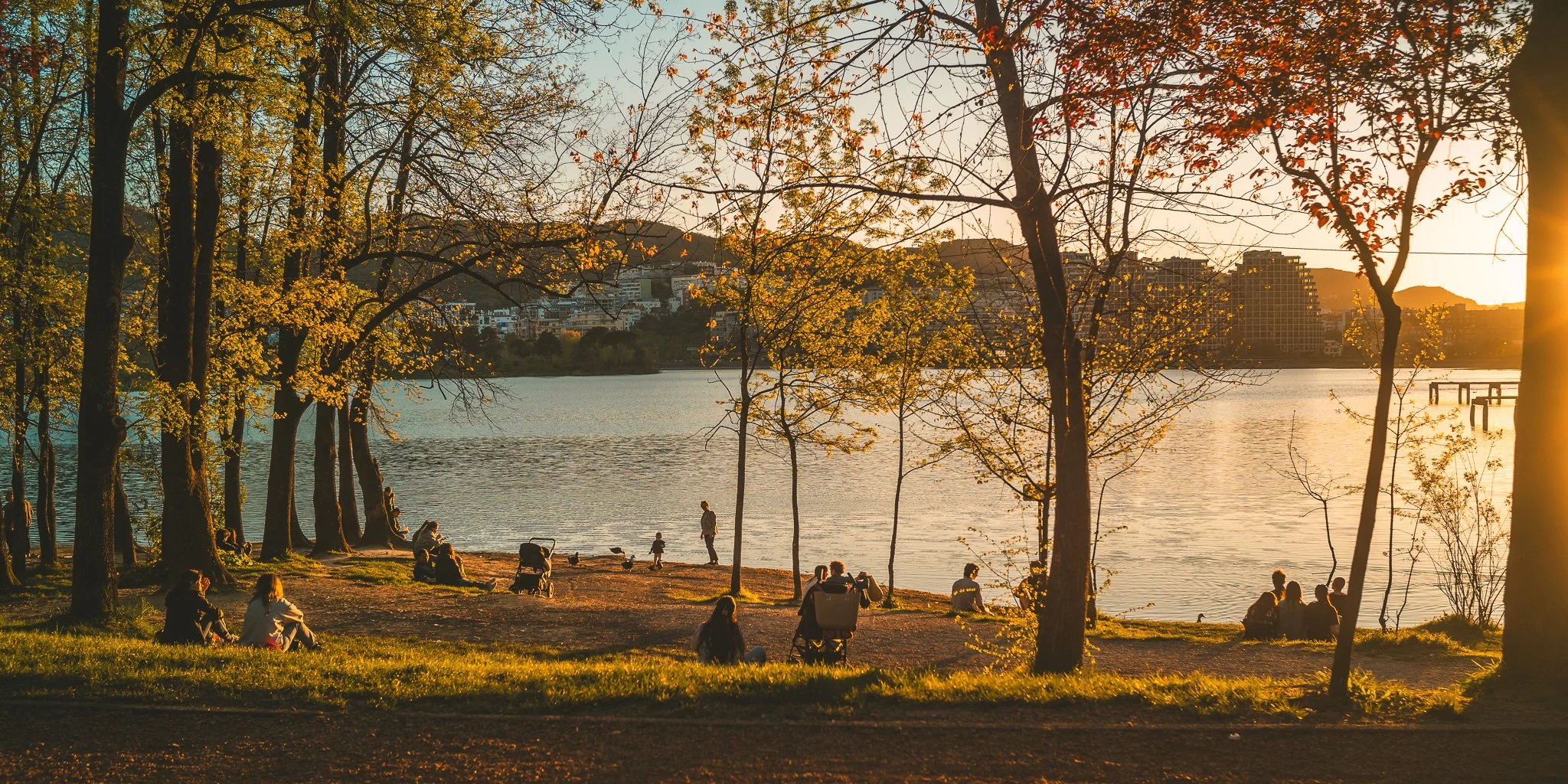 Ektar Ultra Film Simulation - Lightroom Preset