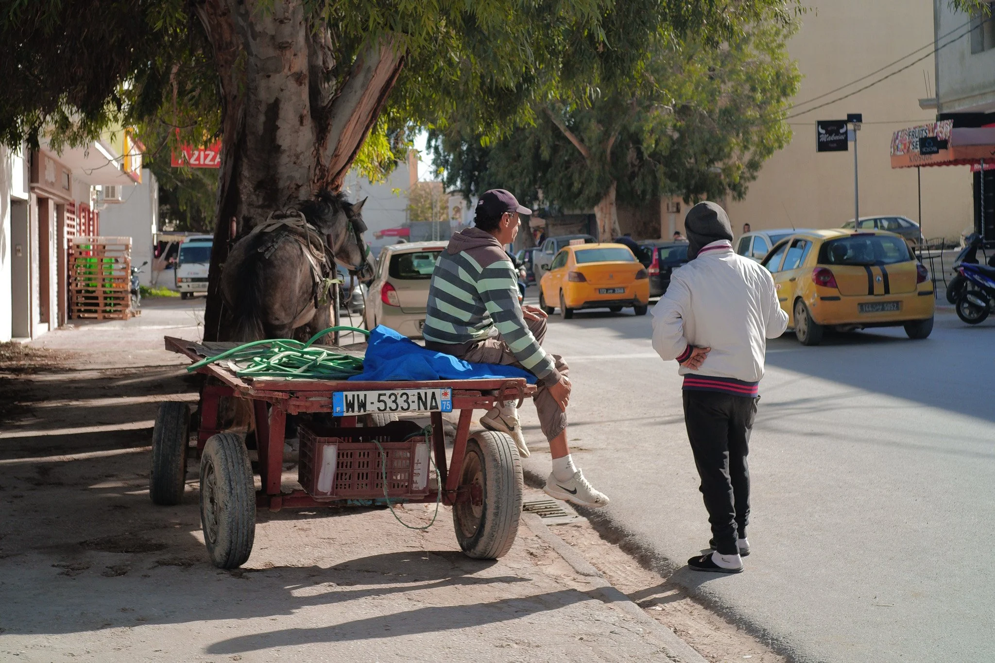 Man in Tunisia with horse drawn cart - Sigma Film Simulation - Vivid +2 for the Sigma FP and FPL