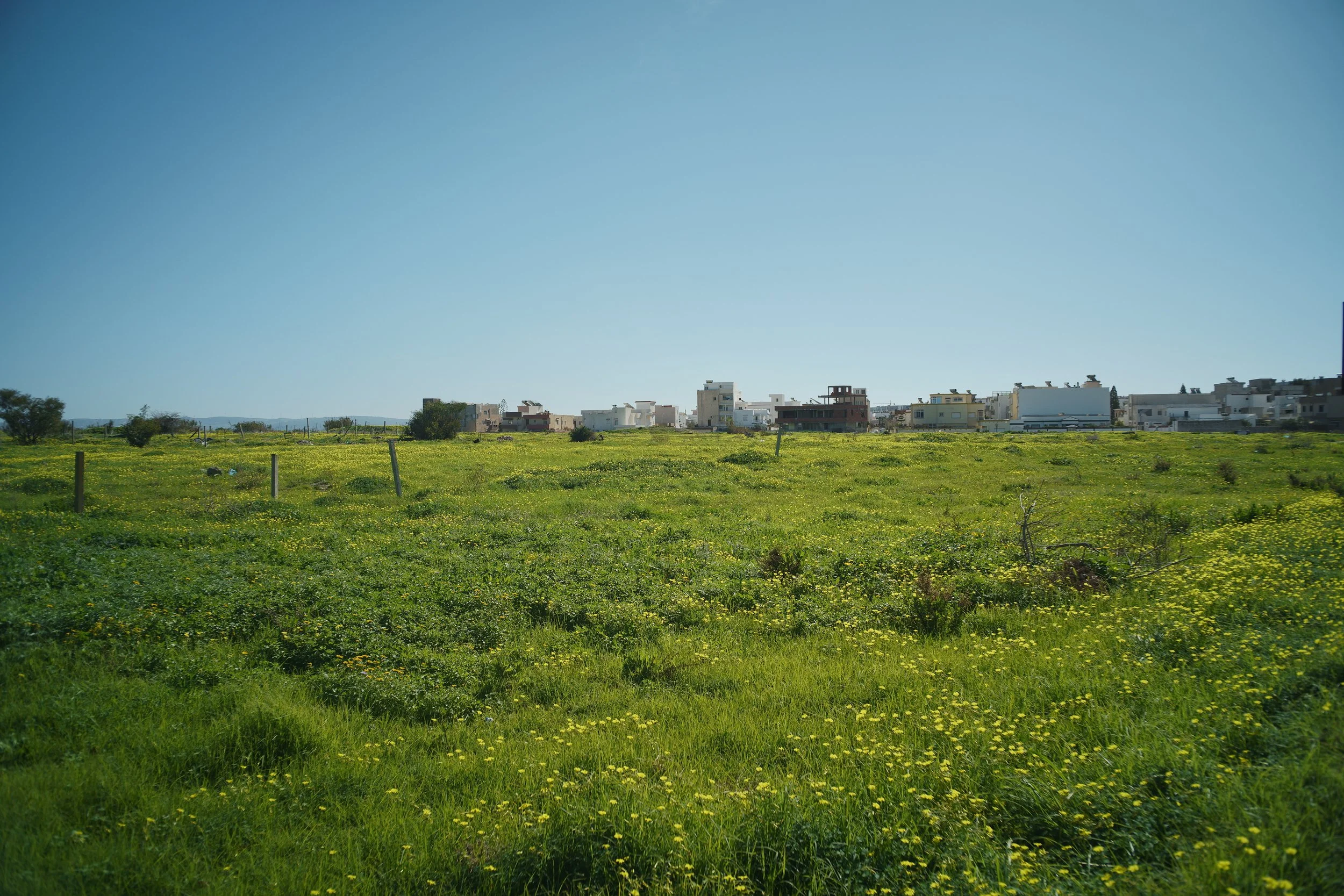 Warm Spring day - Sigma FP with "Something Blue" Film Simulation