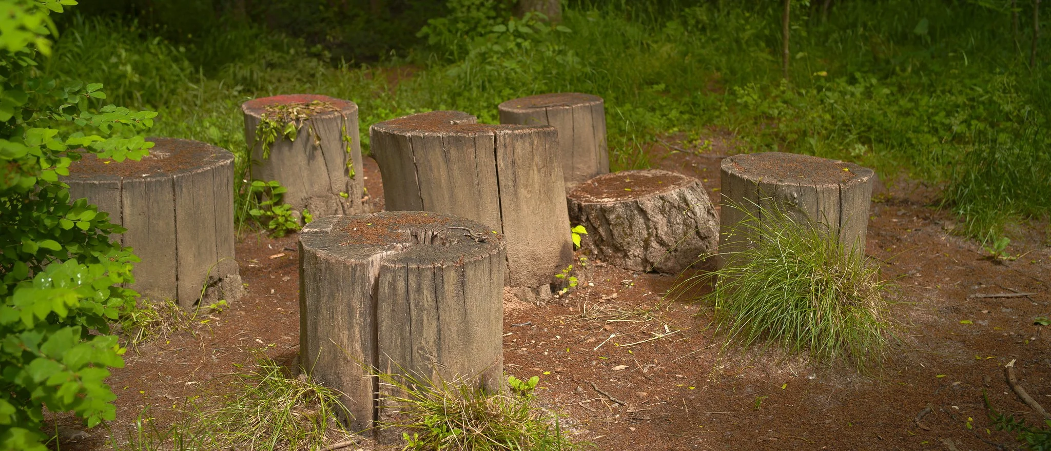 Sigma FP and FP L - Vintage Color Film Picture Profile Sample Photo