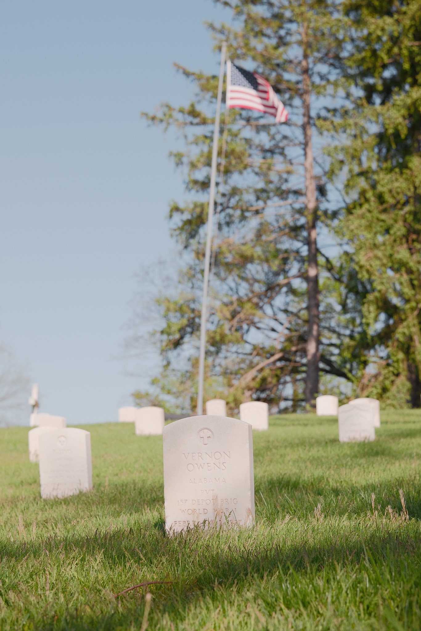 Sigma 50mm f2 Contemporary - Springfield Cemetery