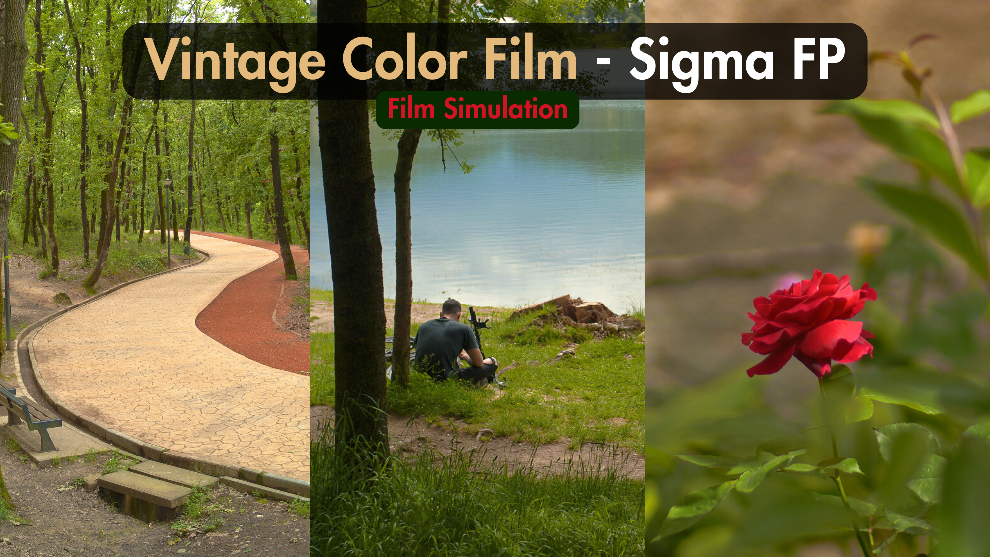 Sigma FP and FP L - Vintage Color Film Picture Profile Sample Photo