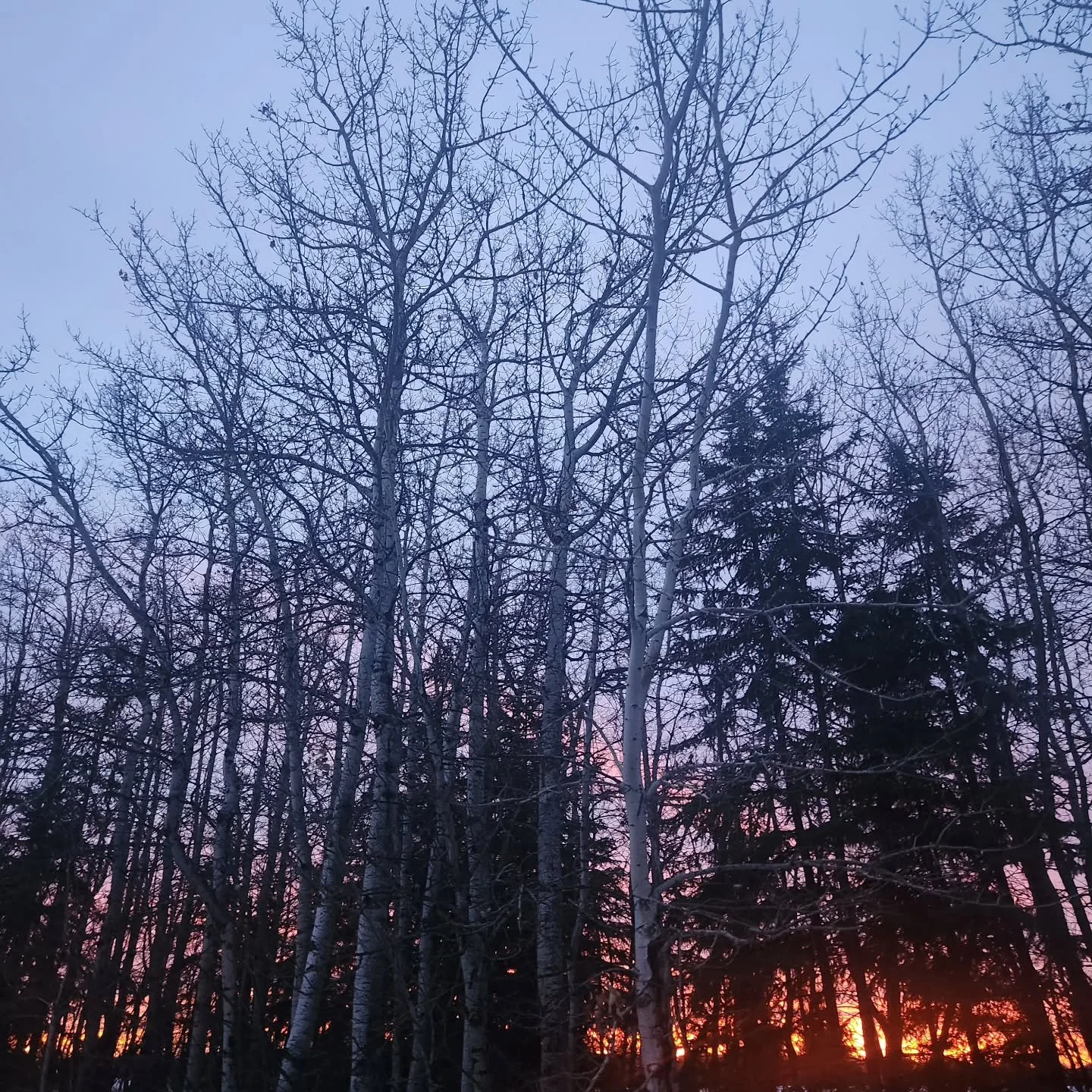 This photo does not even begin to do tonight's sunset justice. I walked through the words with my son in total awe.

Our Mother is so beautiful. 

Tonight she said it all so much better than I ever could.