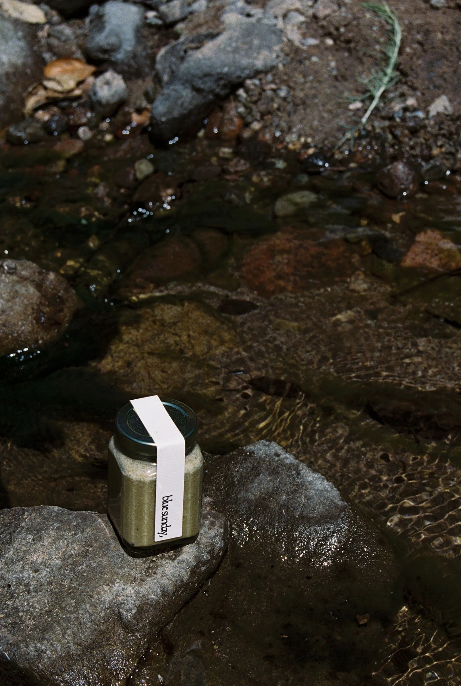 HONEY (SUBSCRIPTION)