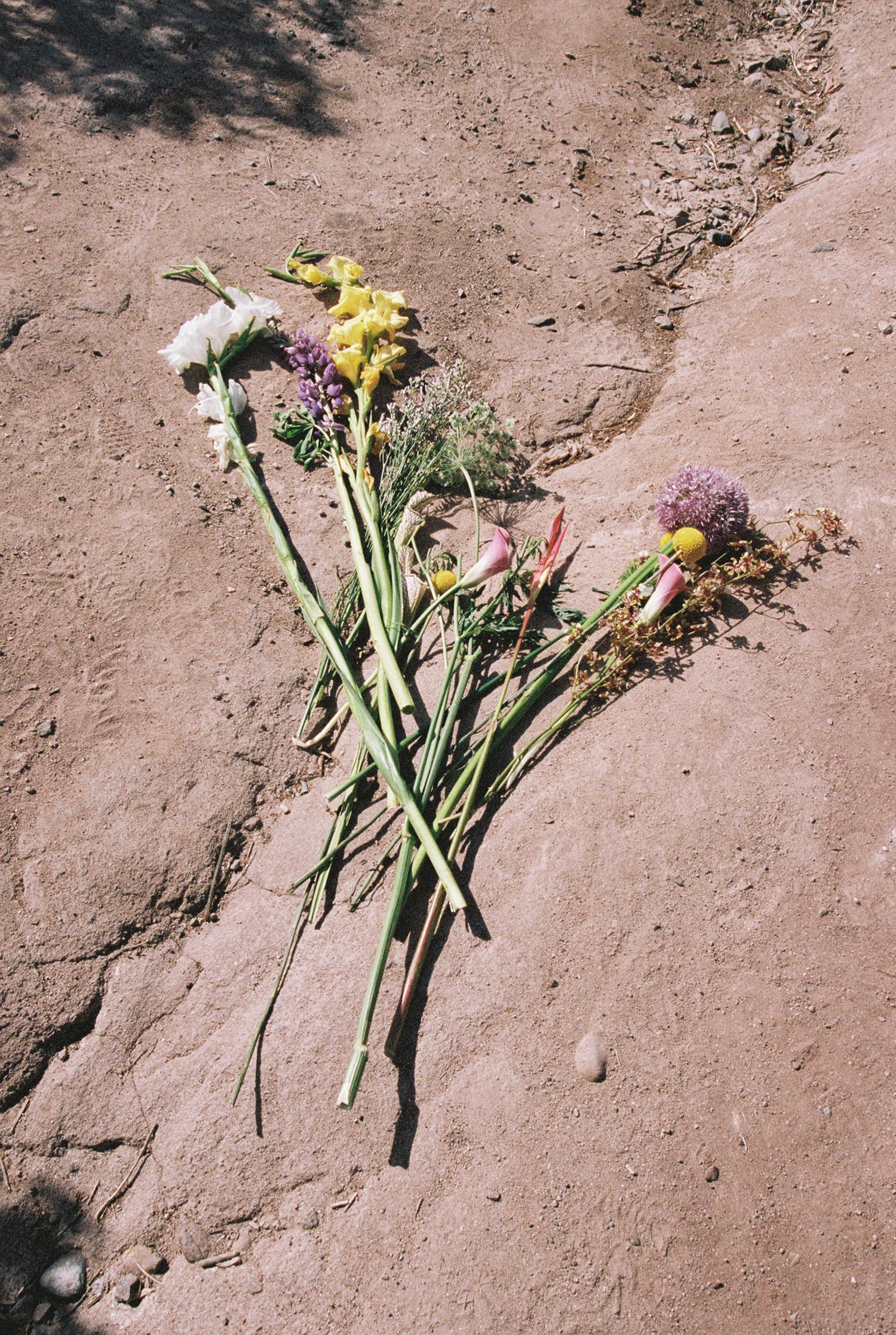 BLUE SUNDAY GIFT CARD