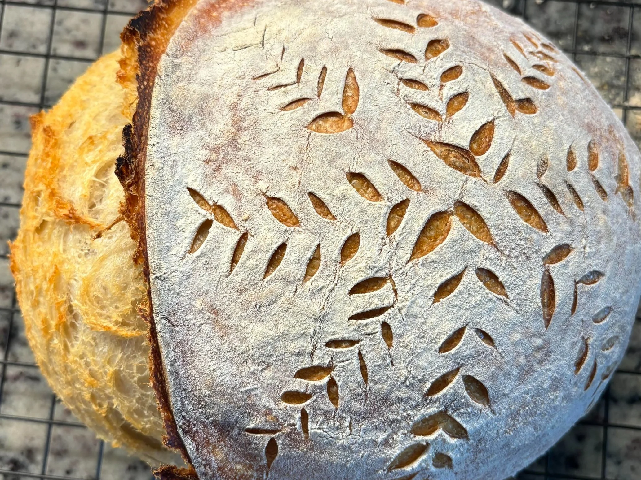 sunshine-rainbow-sourdough.com