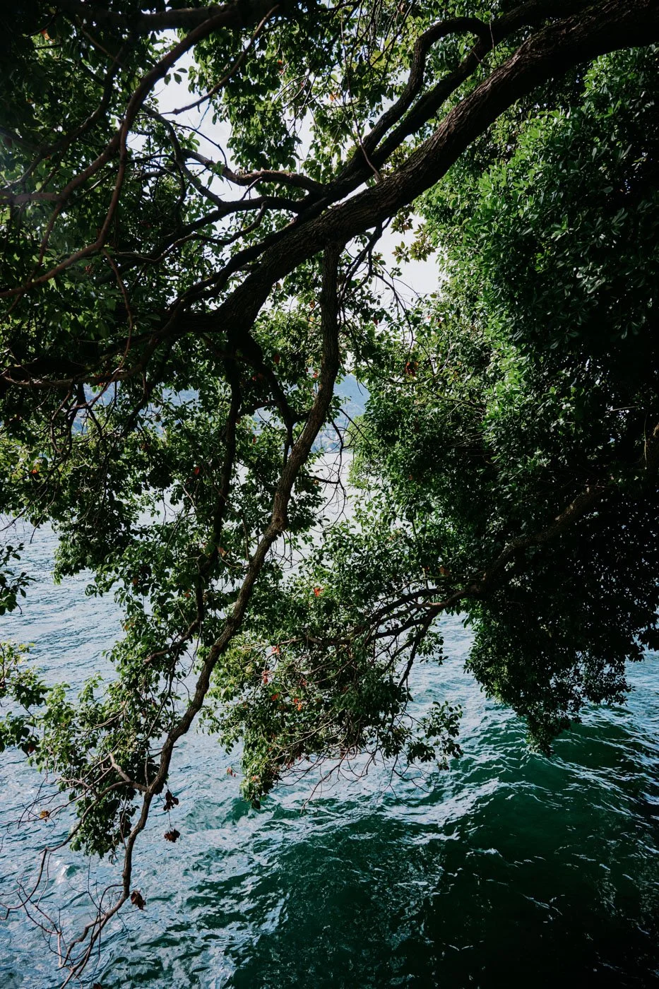 lake como elopement_00001.jpeg