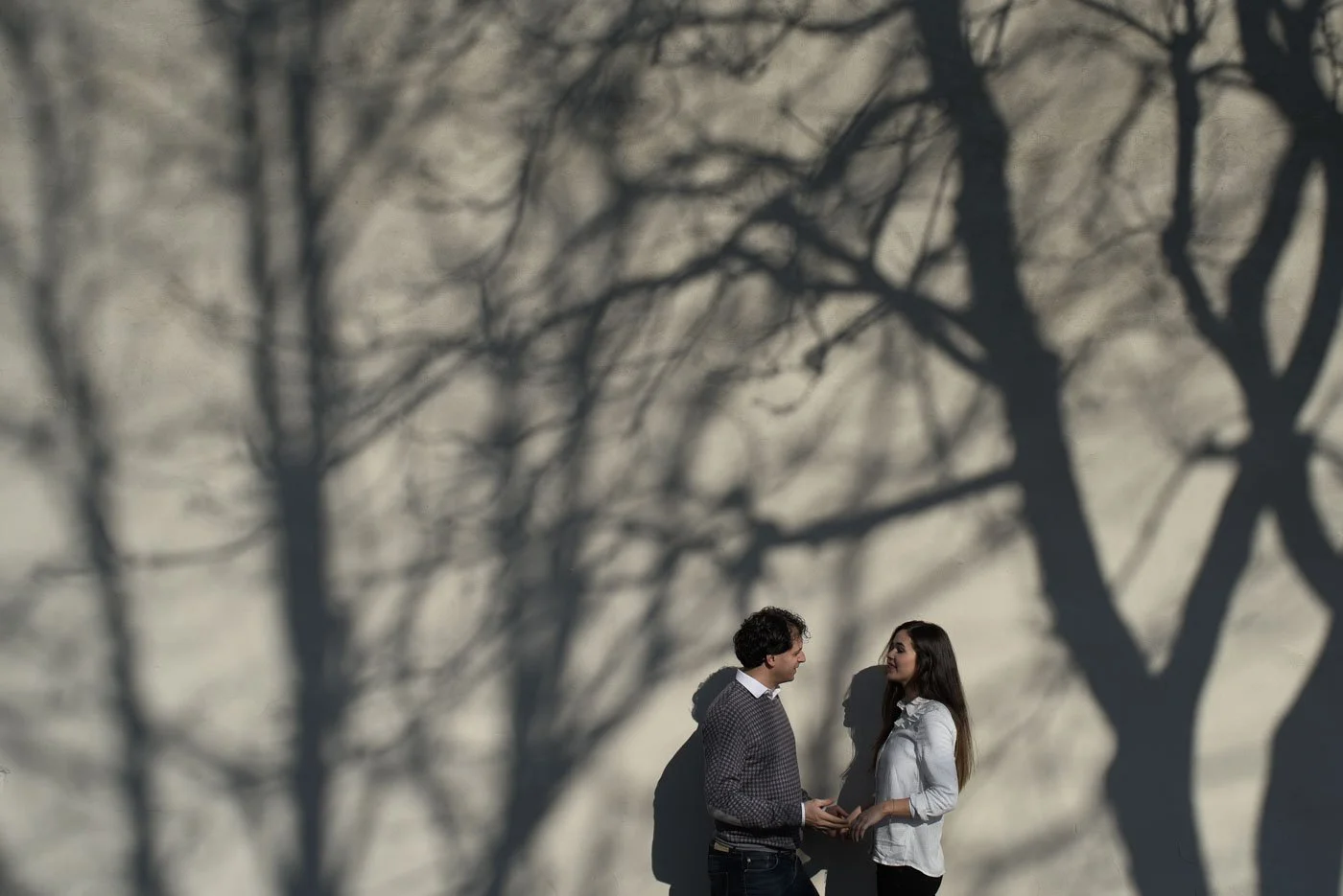 A man and woman facing each other, holding hands, with tree shadows cast on the wall behind them.