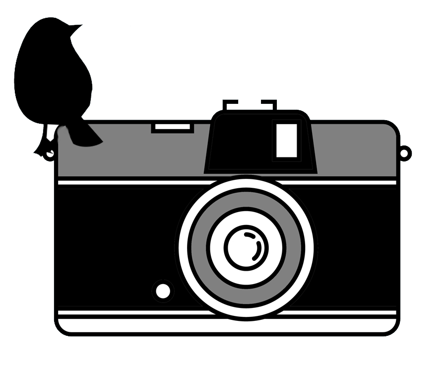 Photographer Milan, Italy