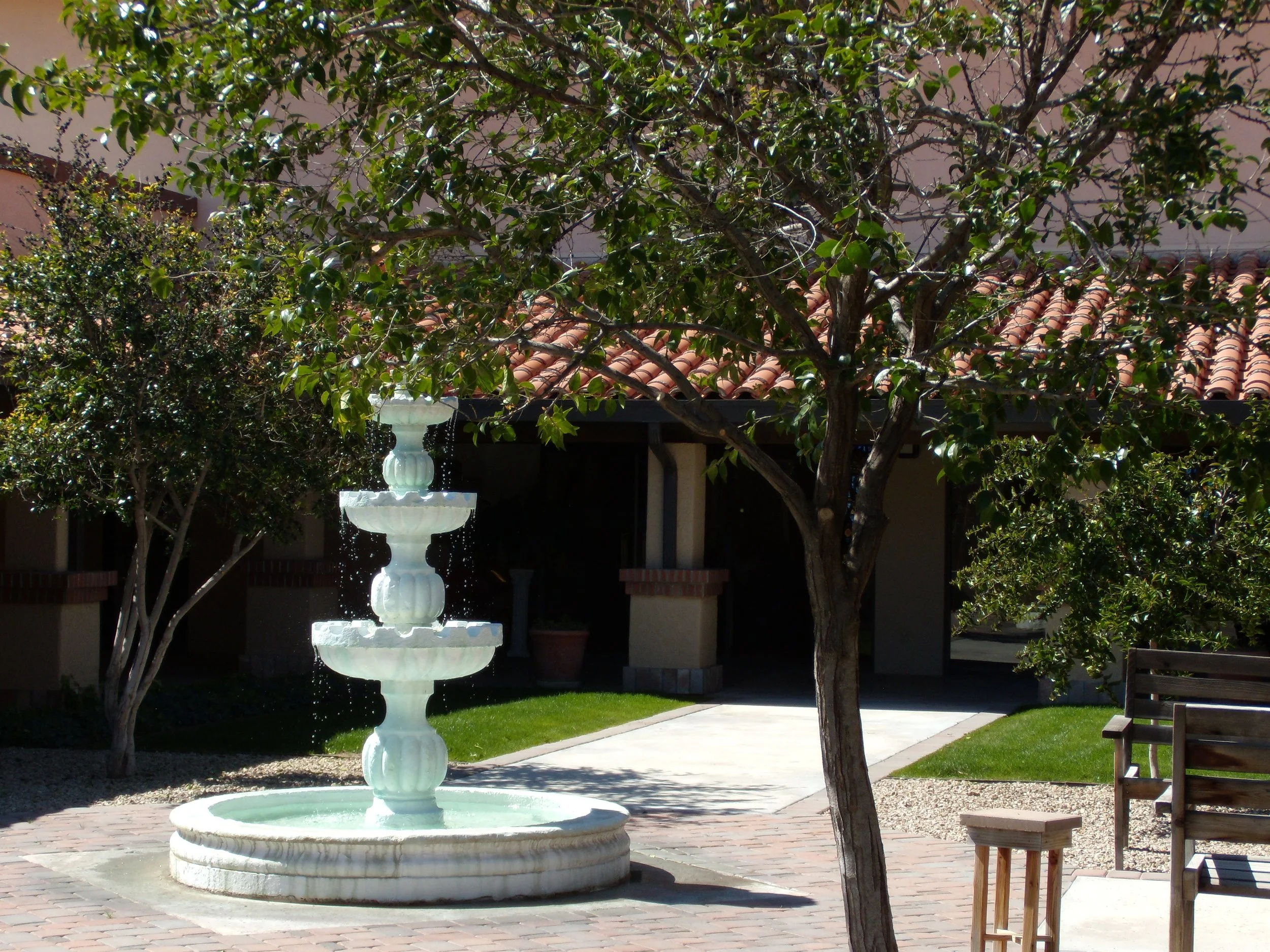 Courtyard 2019 007.jpg