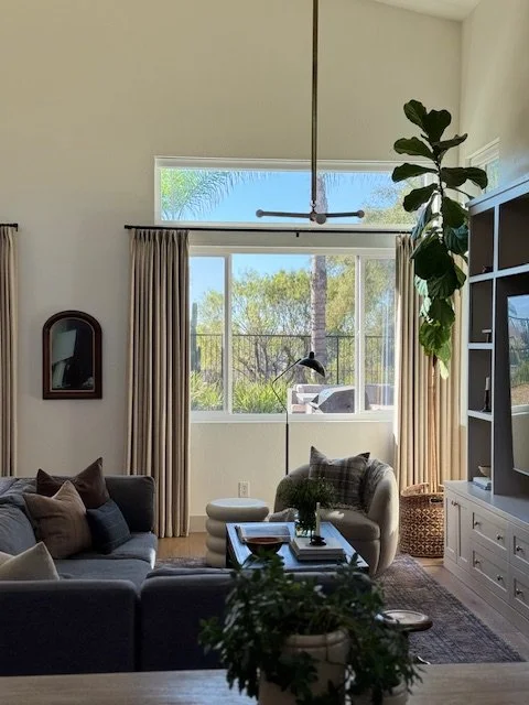 living room built in 3.jpeg