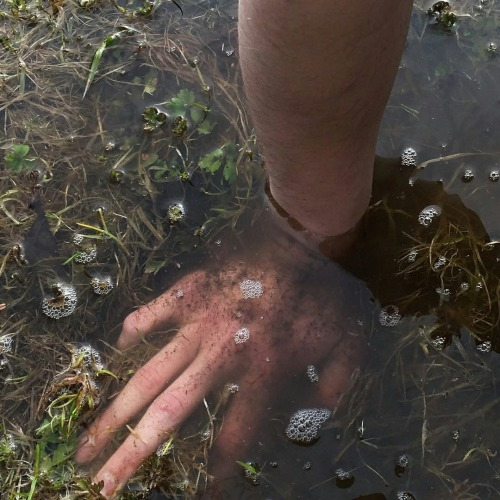 elements, nature, ayurveda, water, dirt, grace
