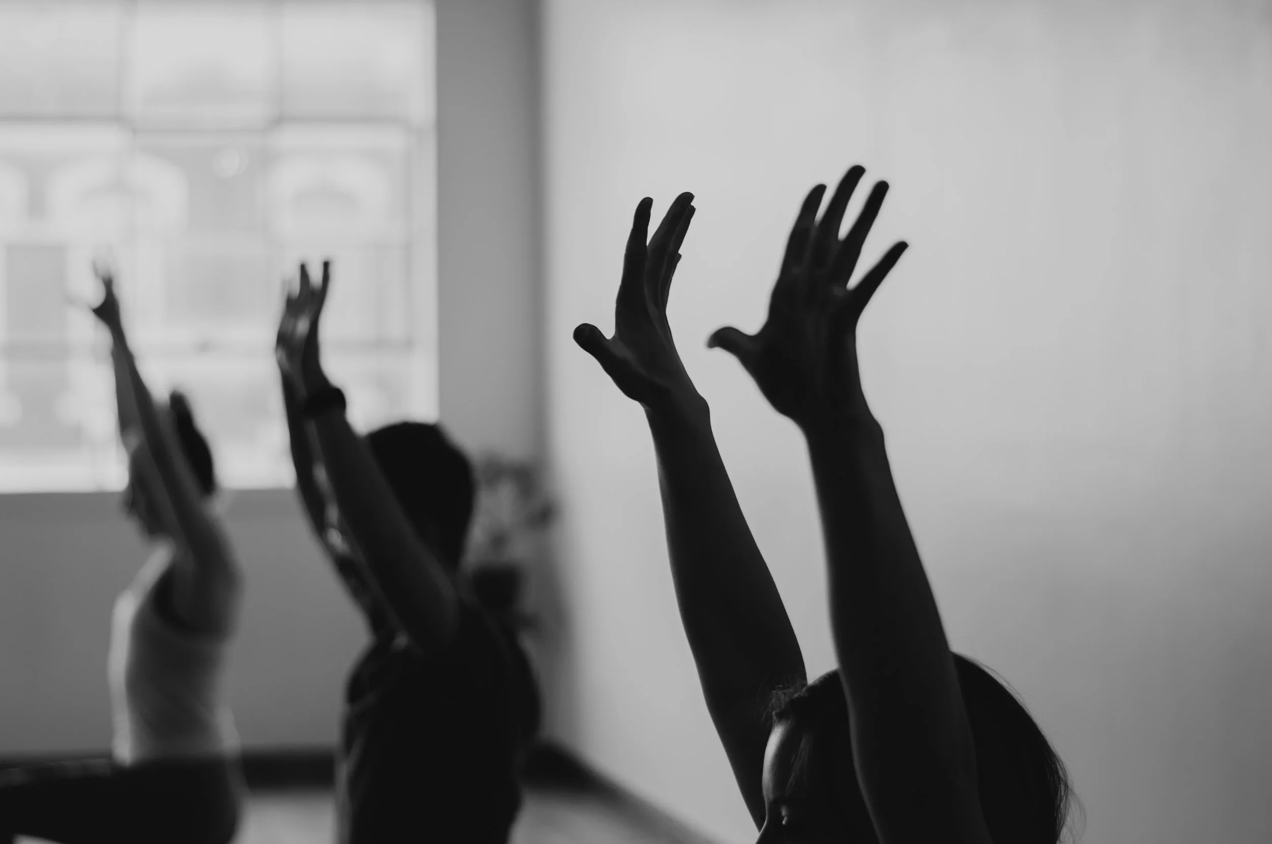 functional movement Springfield MO