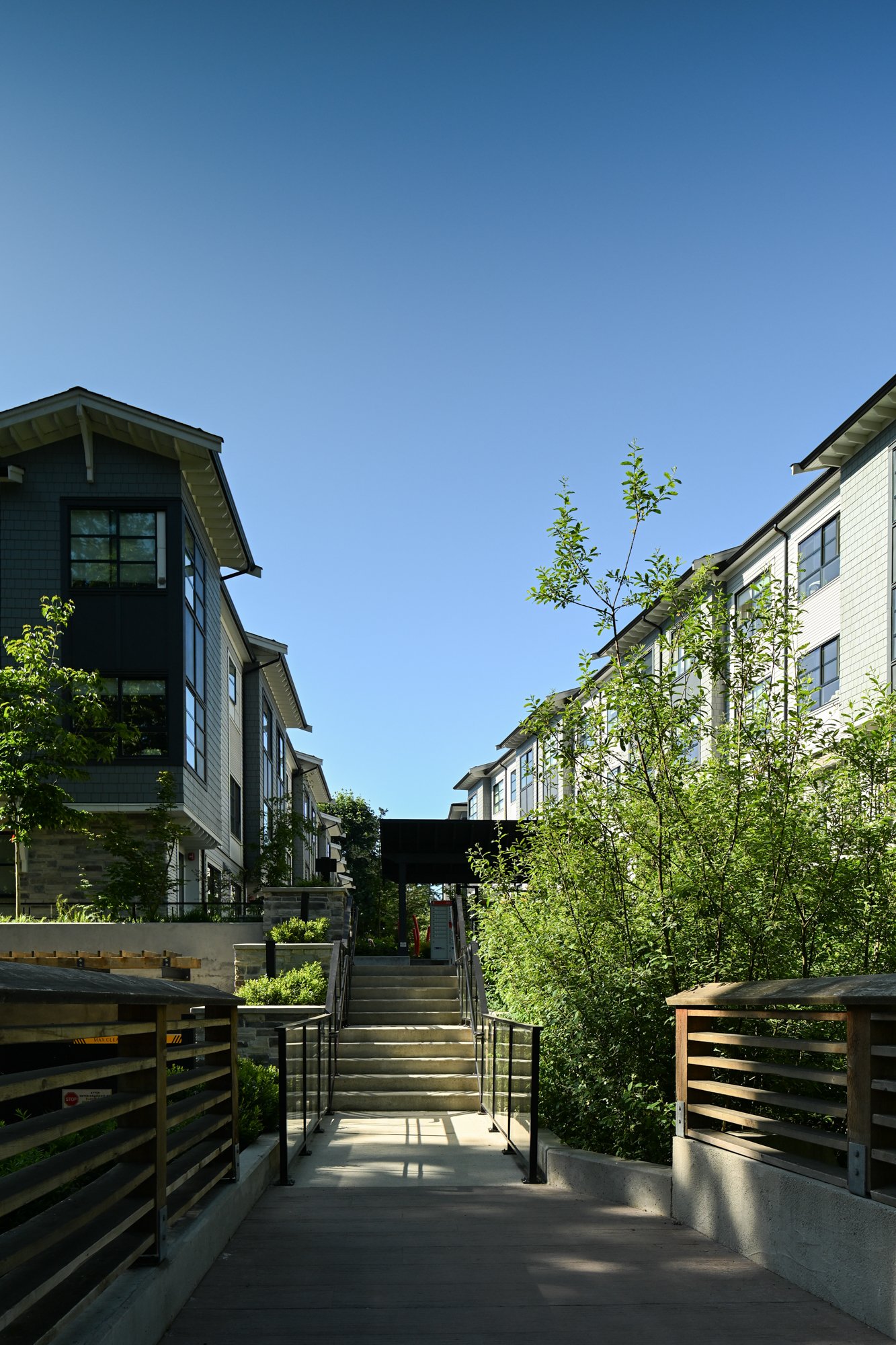 207 EASTWOODS WEB-2.jpg