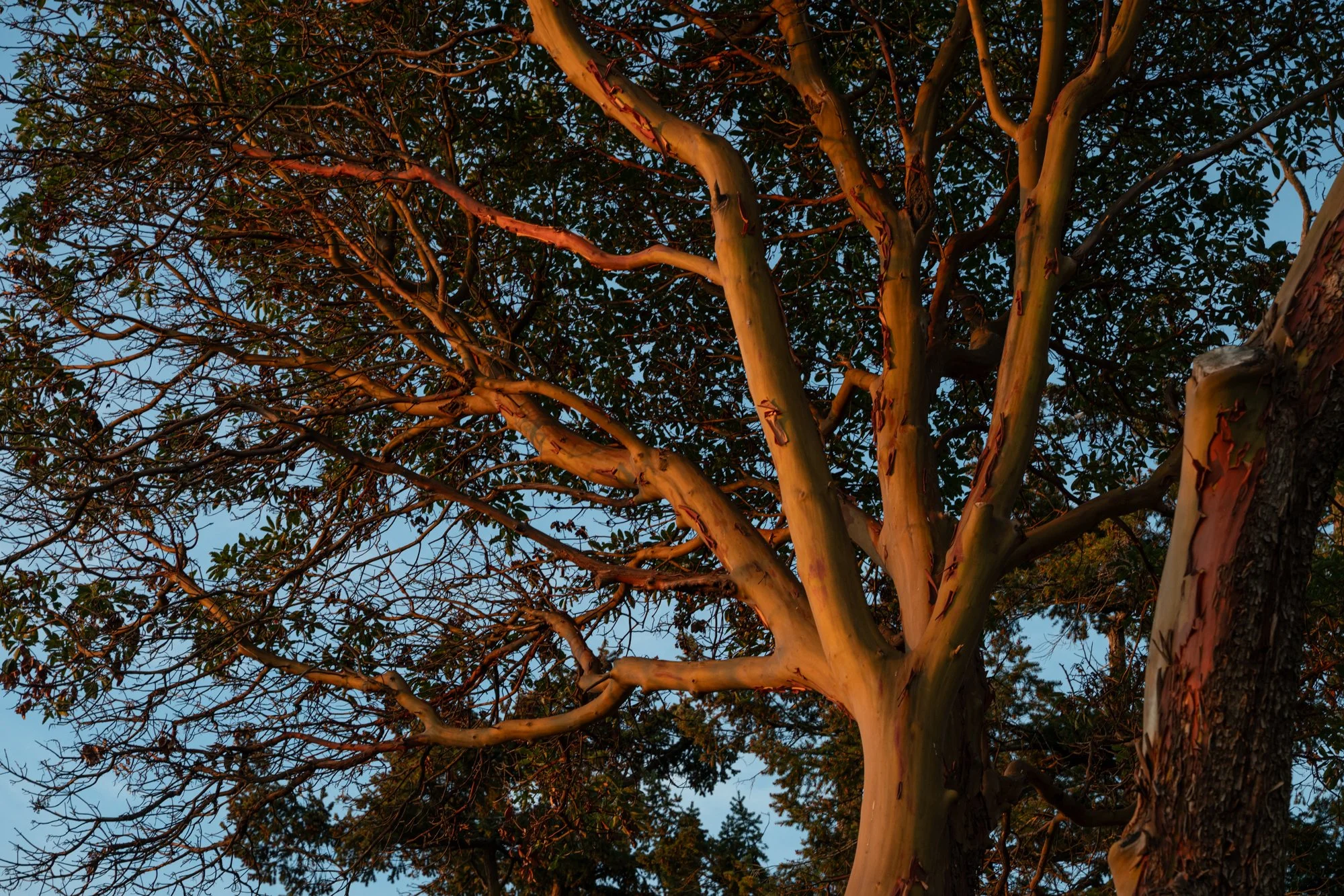 LOOKOUT APRIL WEB-5.jpg